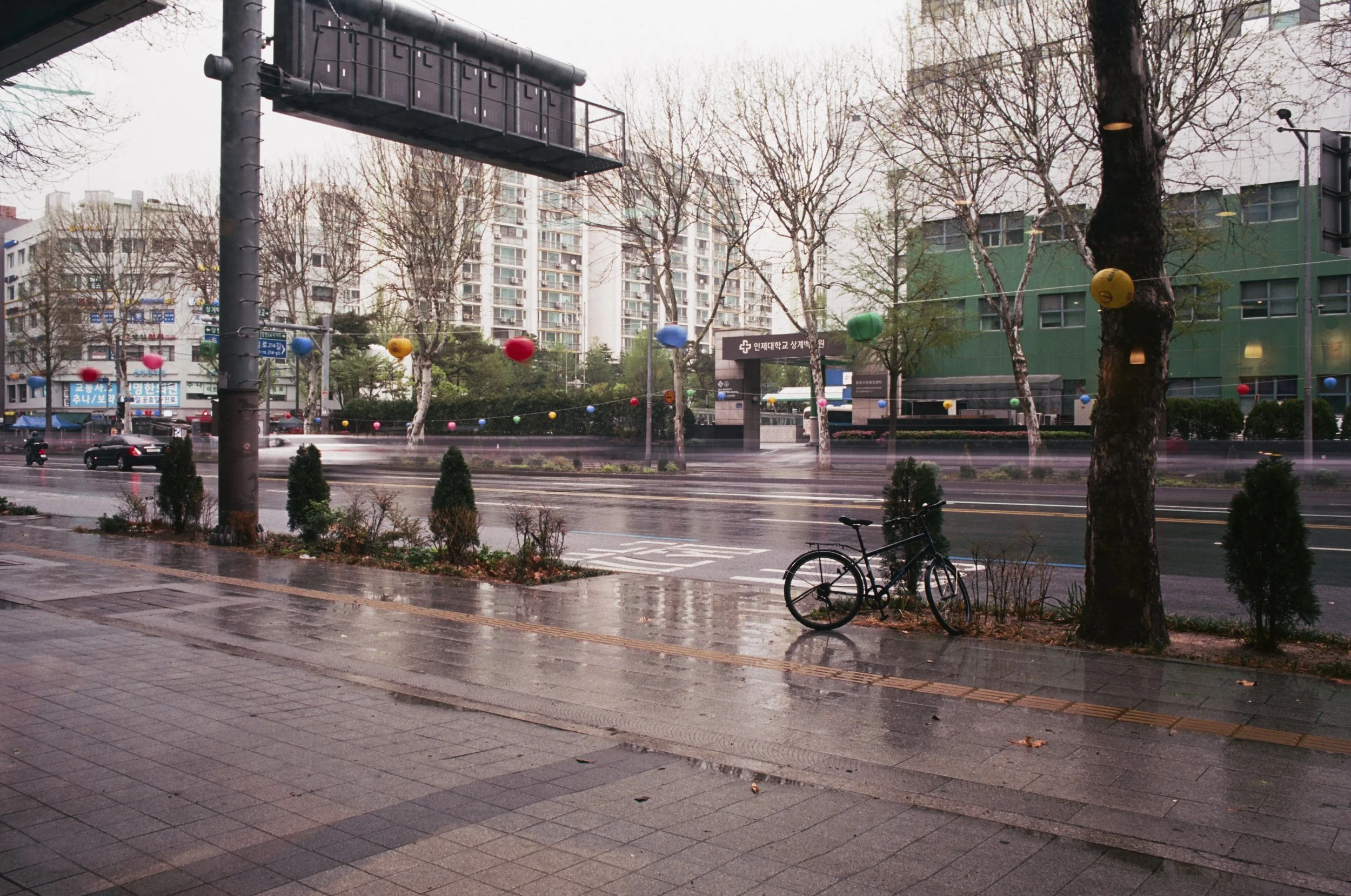 2025.04.20.ektar.100-14.jpeg