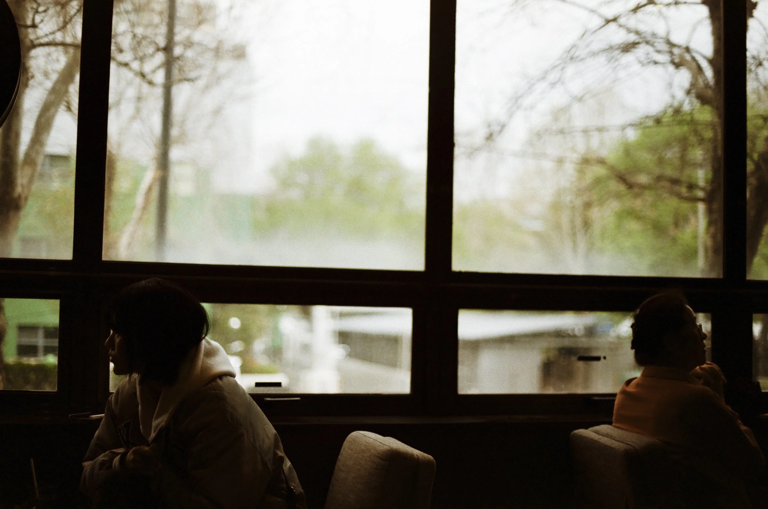 Expired Fuji 100 (shot at 25)