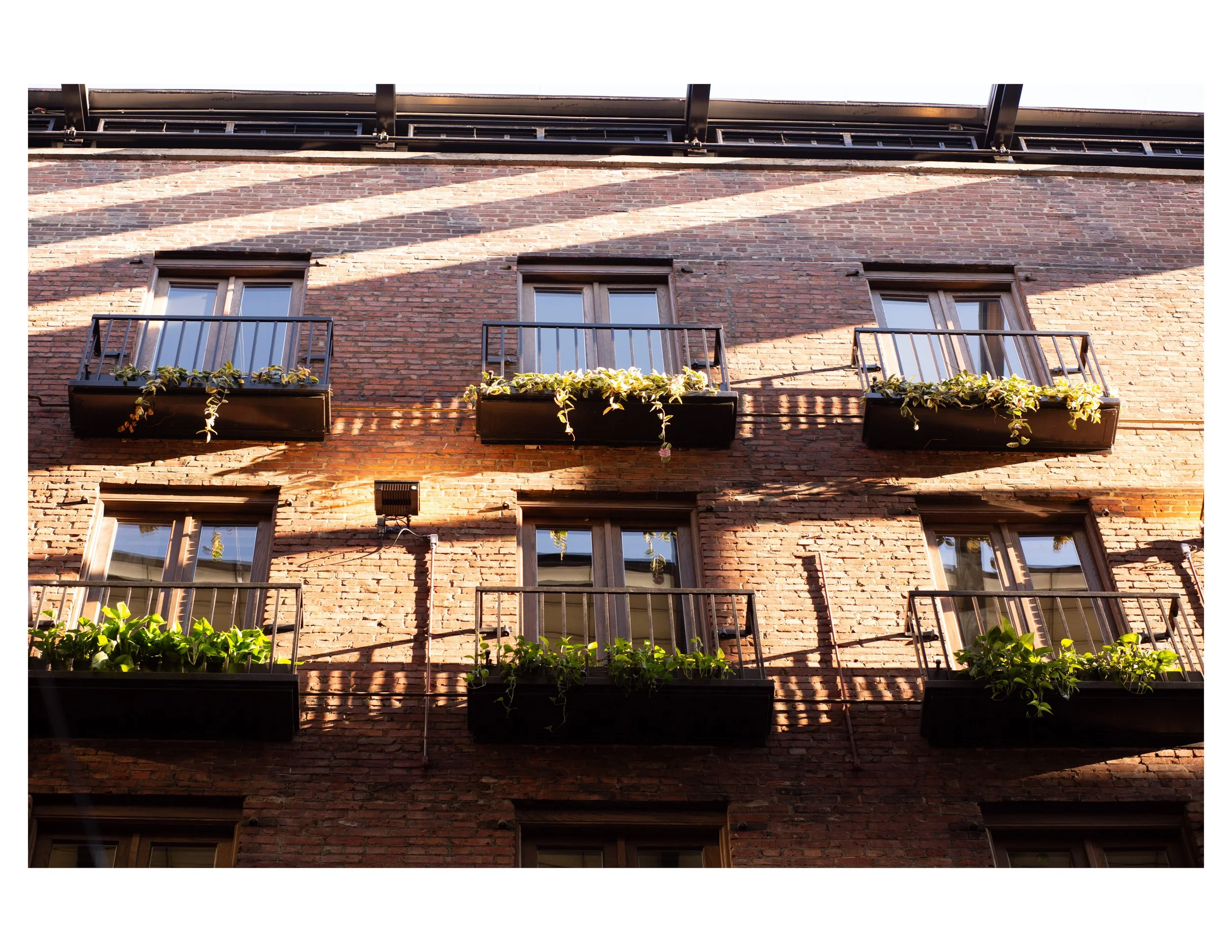 Multiple black flower boxes filled with green plants on the balconies of a brick apartment building under a clear sky.