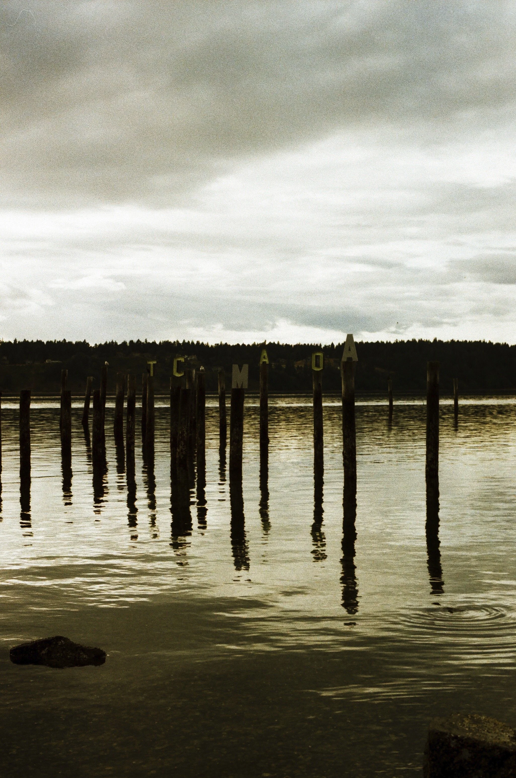 Expired Fuji 100 (shot at 25) pushed 1 stop