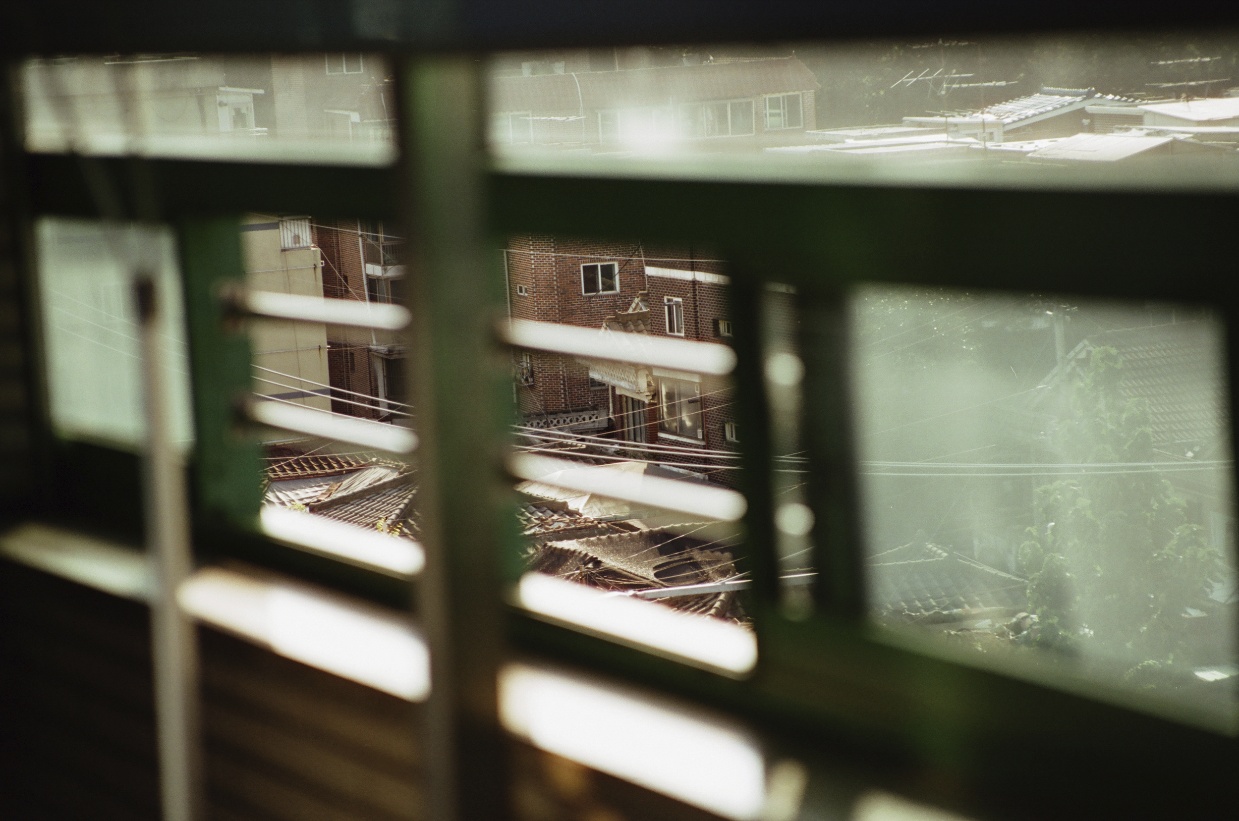 Through a Window 2.png