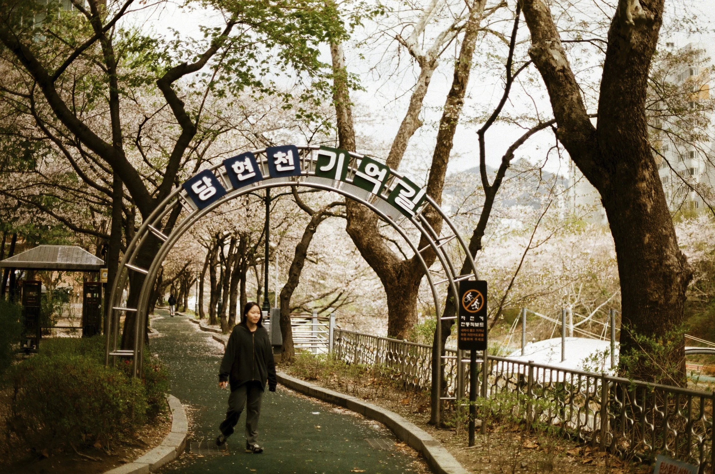 Expired Fuji 100 (shot at 25)