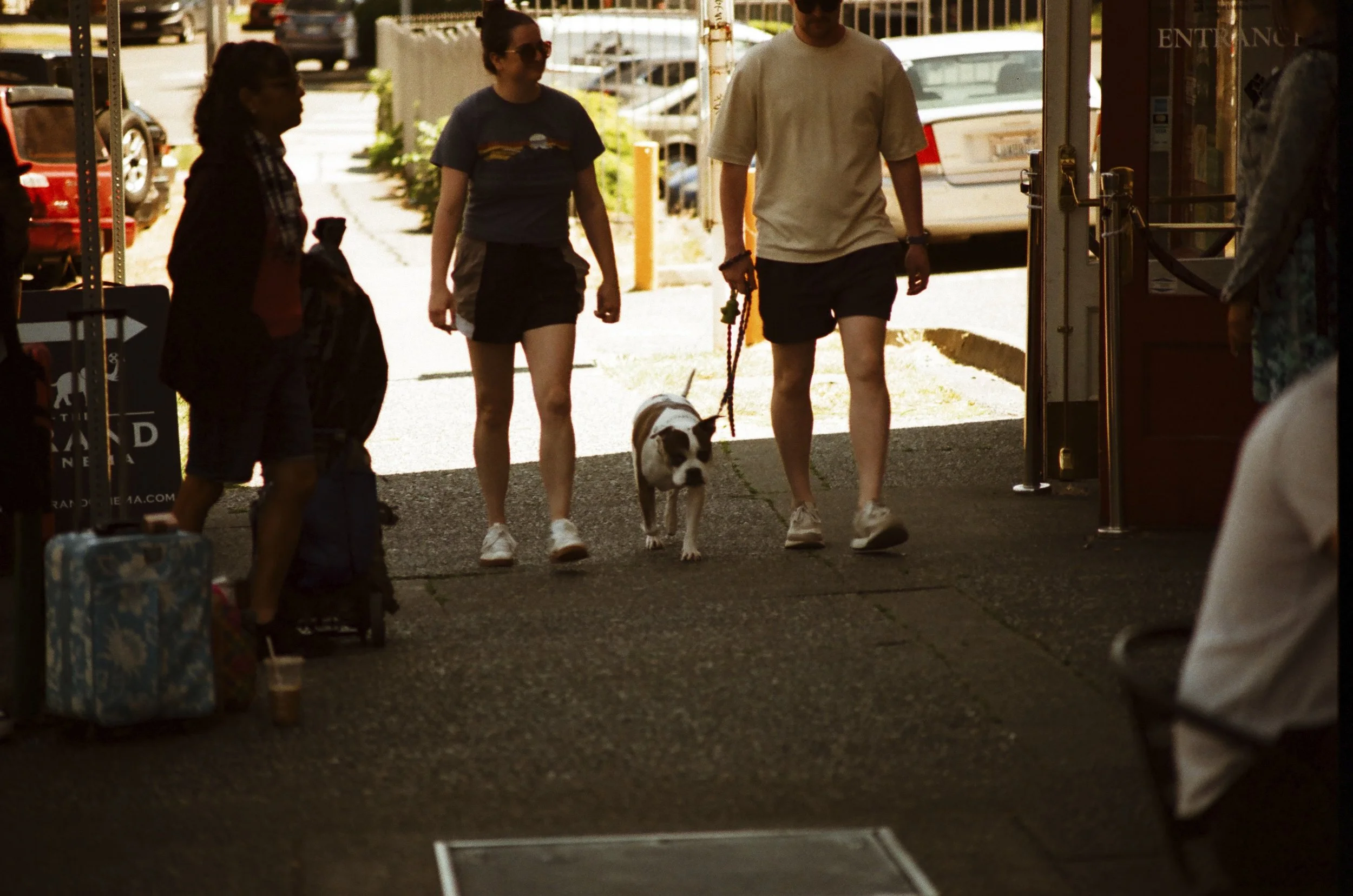 Expired Fuji 100 (shot at 25) 