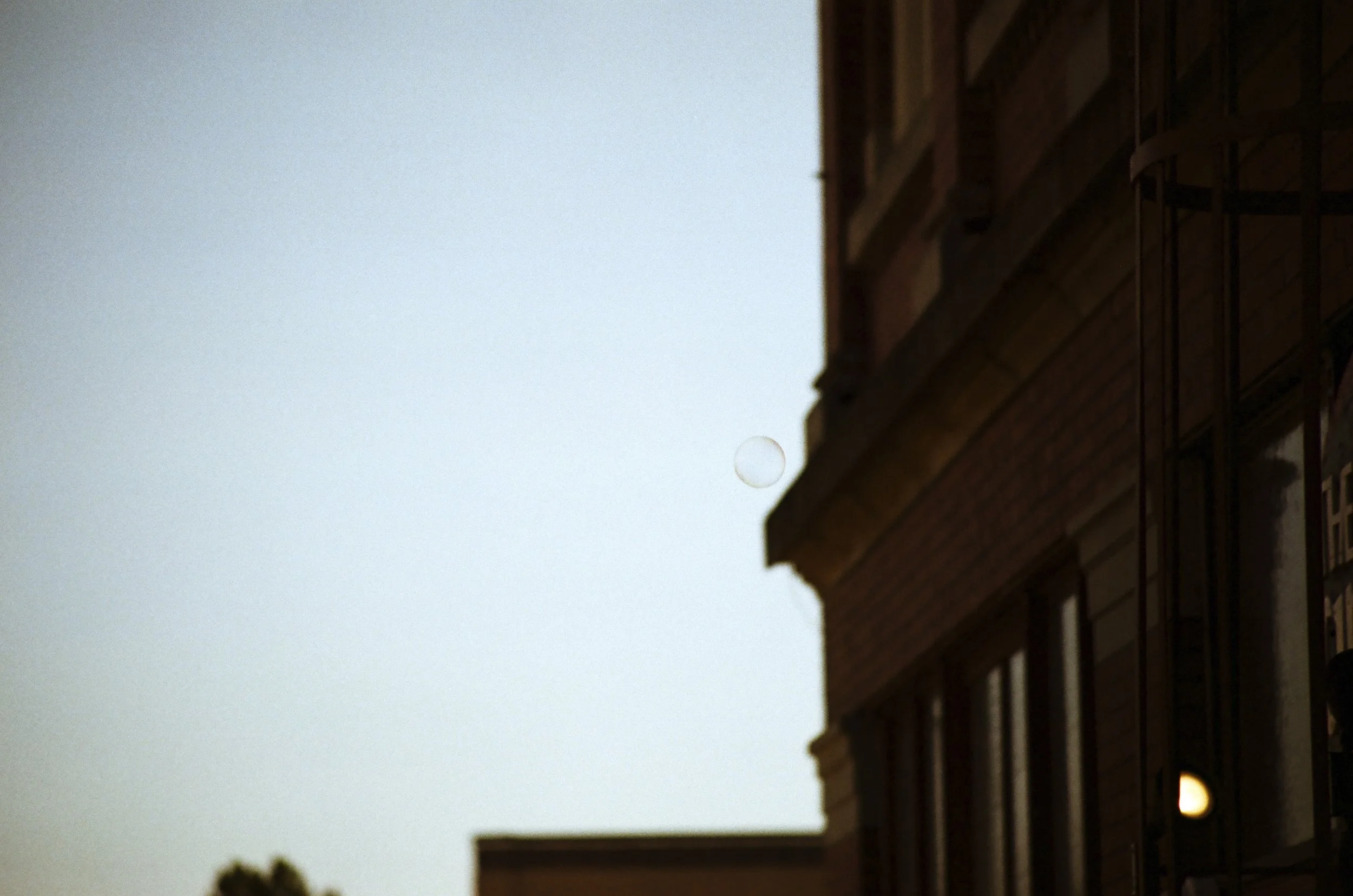 Expired Fuji 100 (shot at 25) 