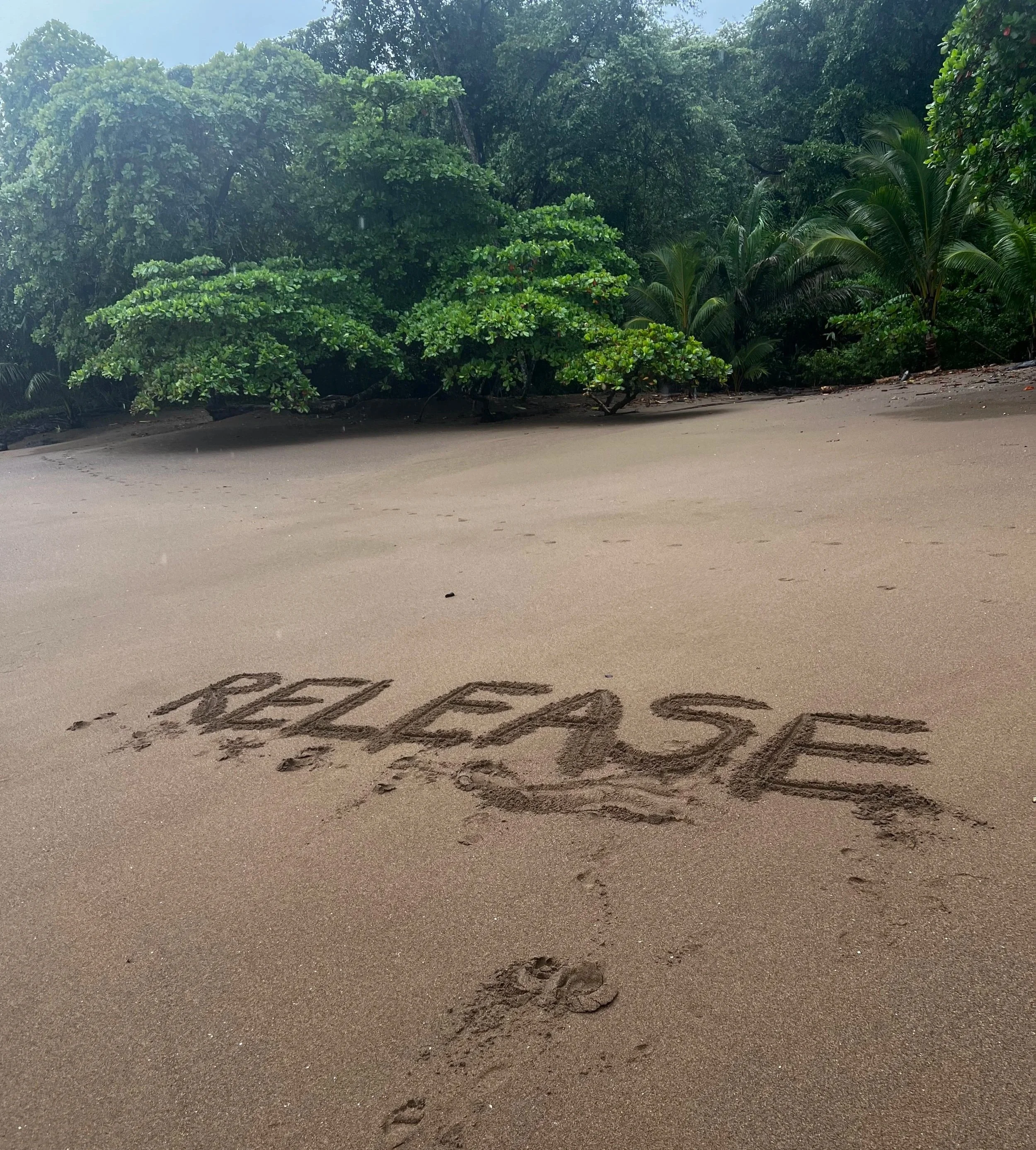 Sand on the beach with footprints and the word 'Release' written in the sand, with lush green tropical trees in the background.