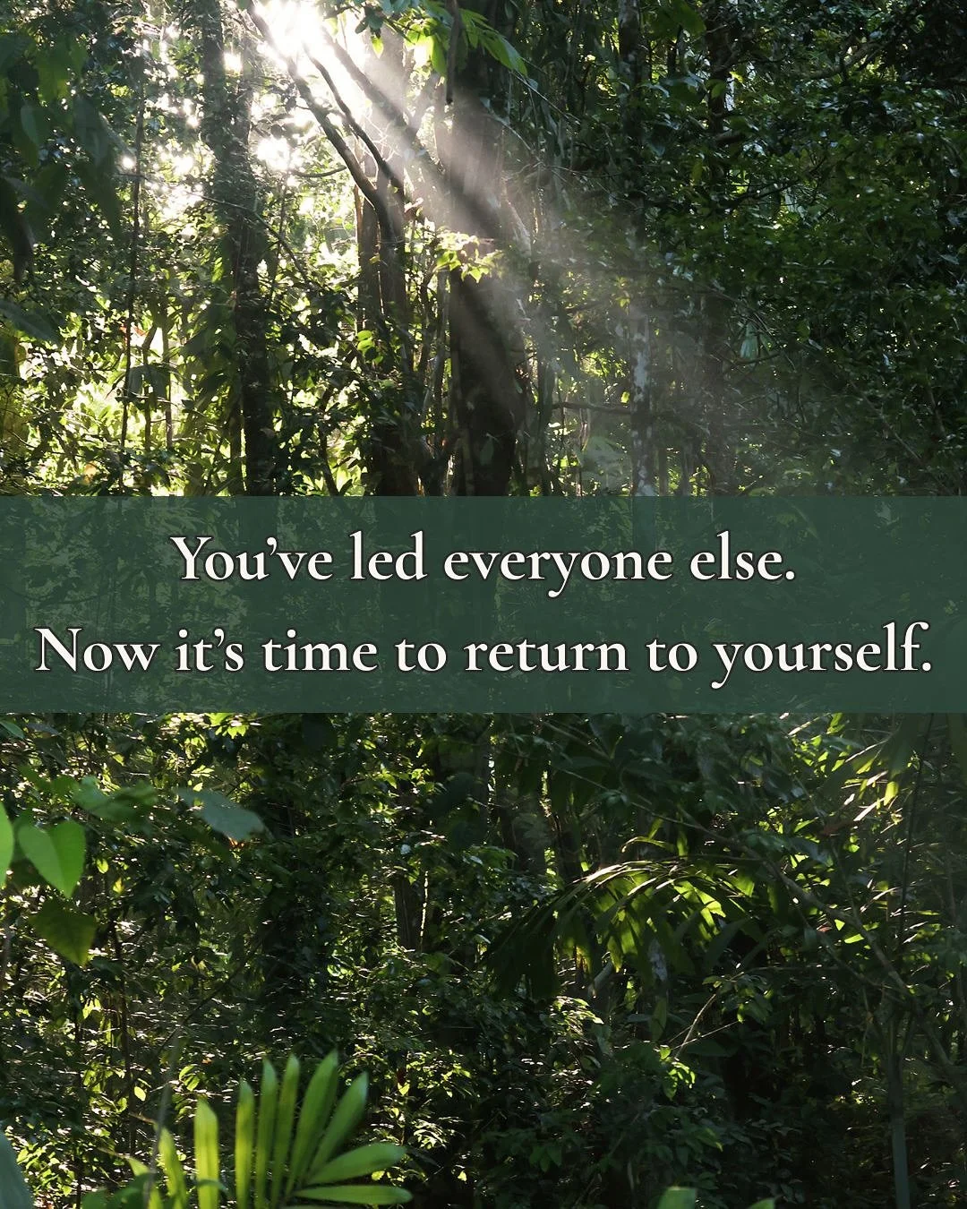 You&rsquo;ve spent years holding it all together.
Now, it&rsquo;s your turn to be held &mdash;
by the rainforest, by stillness, by yourself.

🌿 Costa Rica: Wild Renewal &middot; June 15&ndash;21, 2026
Applications now open &mdash; link in bio

#inte