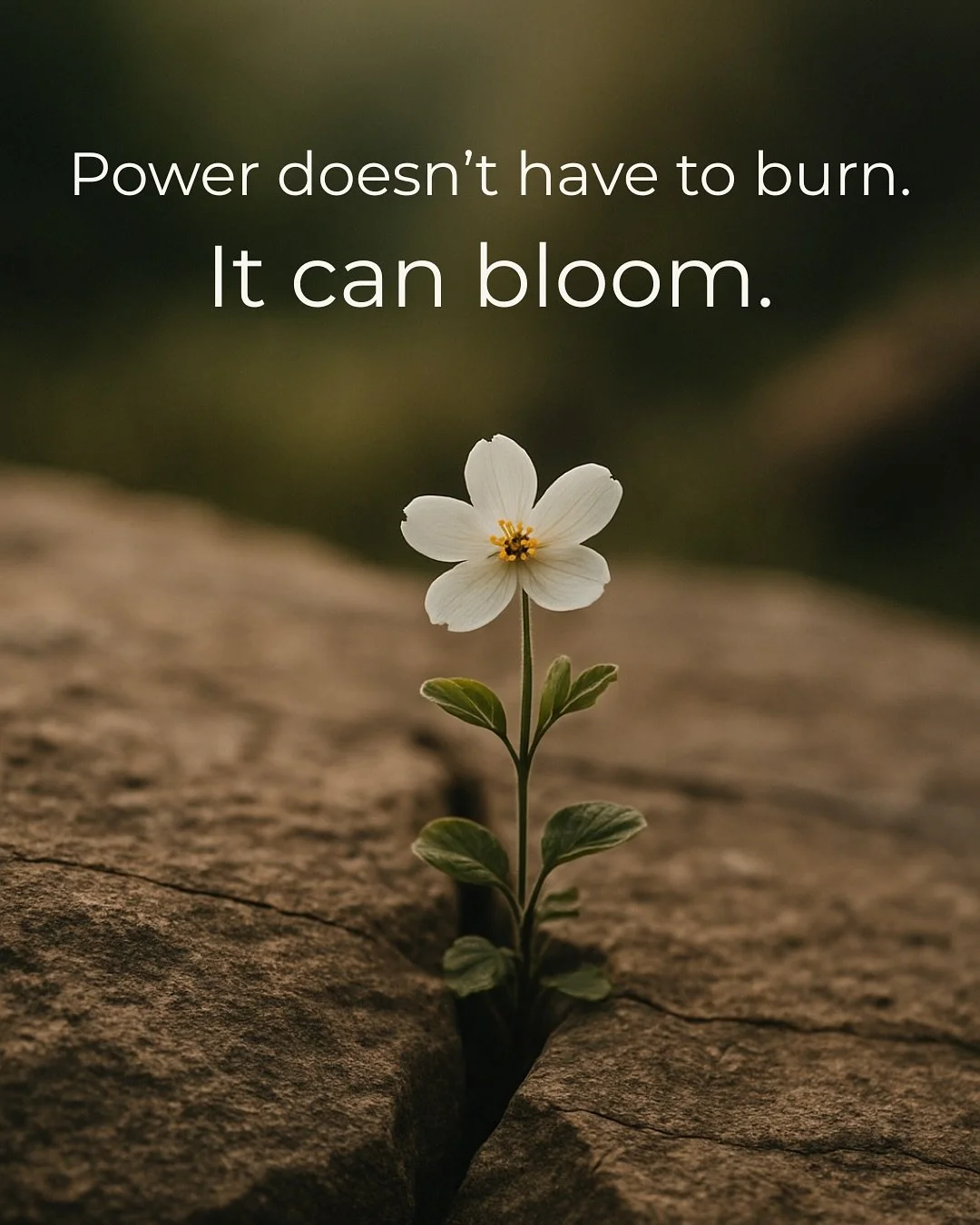 What if leadership wasn&rsquo;t about climbing up or burning out?

For decades, we&rsquo;ve been taught that leadership is rooted in urgency, pressure, and overextension. We inherited a system that praises exhaustion and calls it ambition.

But that 