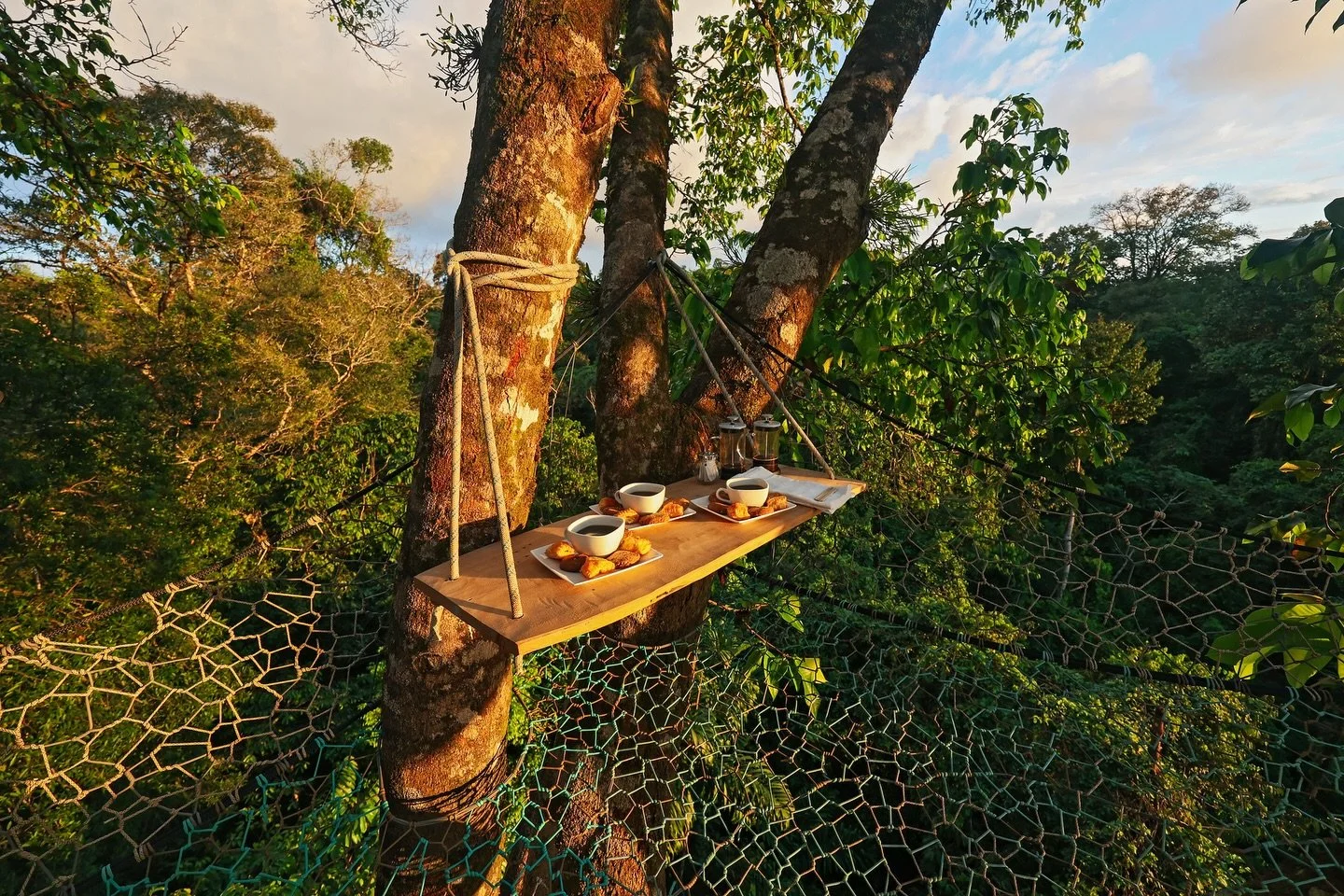 In the Spirit of Gratitude: for a limited time, join our June 2026 Costa Rica: Wild Renewal at a special rate 🎉

From now until&nbsp;November 30th, our&nbsp;Full Moon Package&nbsp;is available for $6,999 (regularly $7,777.)&nbsp;&nbsp;This rate is o