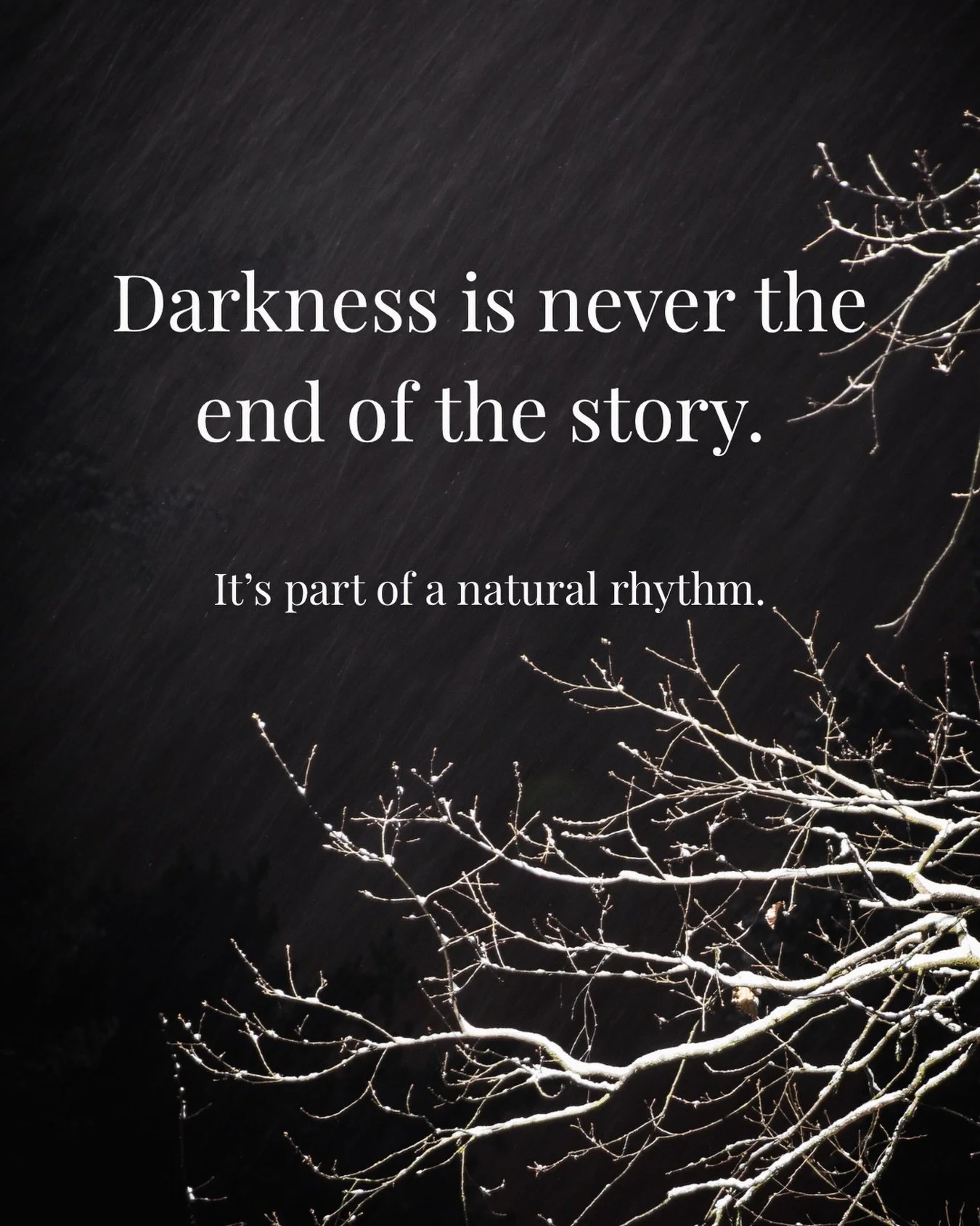 As we move into the longest night of the year, we&rsquo;re invited to trust the ebb and flow of nature.

The Winter Solstice marks a moment to honor stillness, rest, and reflection. In nature, this season of shedding is not a loss, but a way of makin
