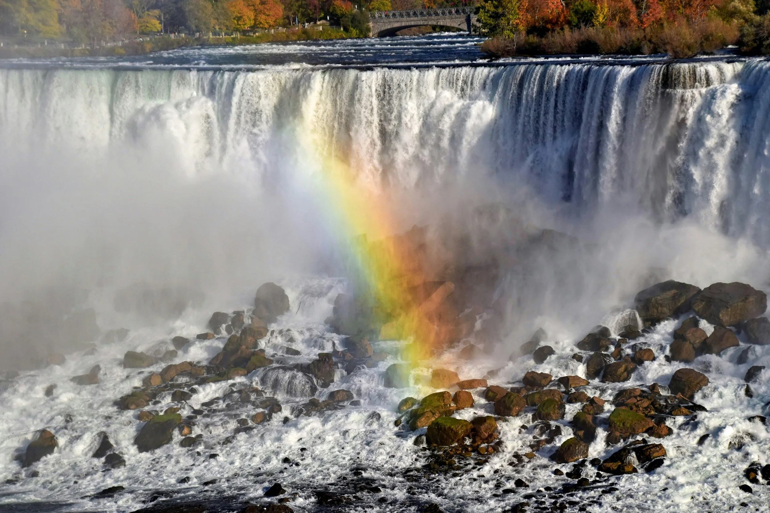 The Science of Awe and Why Wonder Is Essential for Our Nervous System