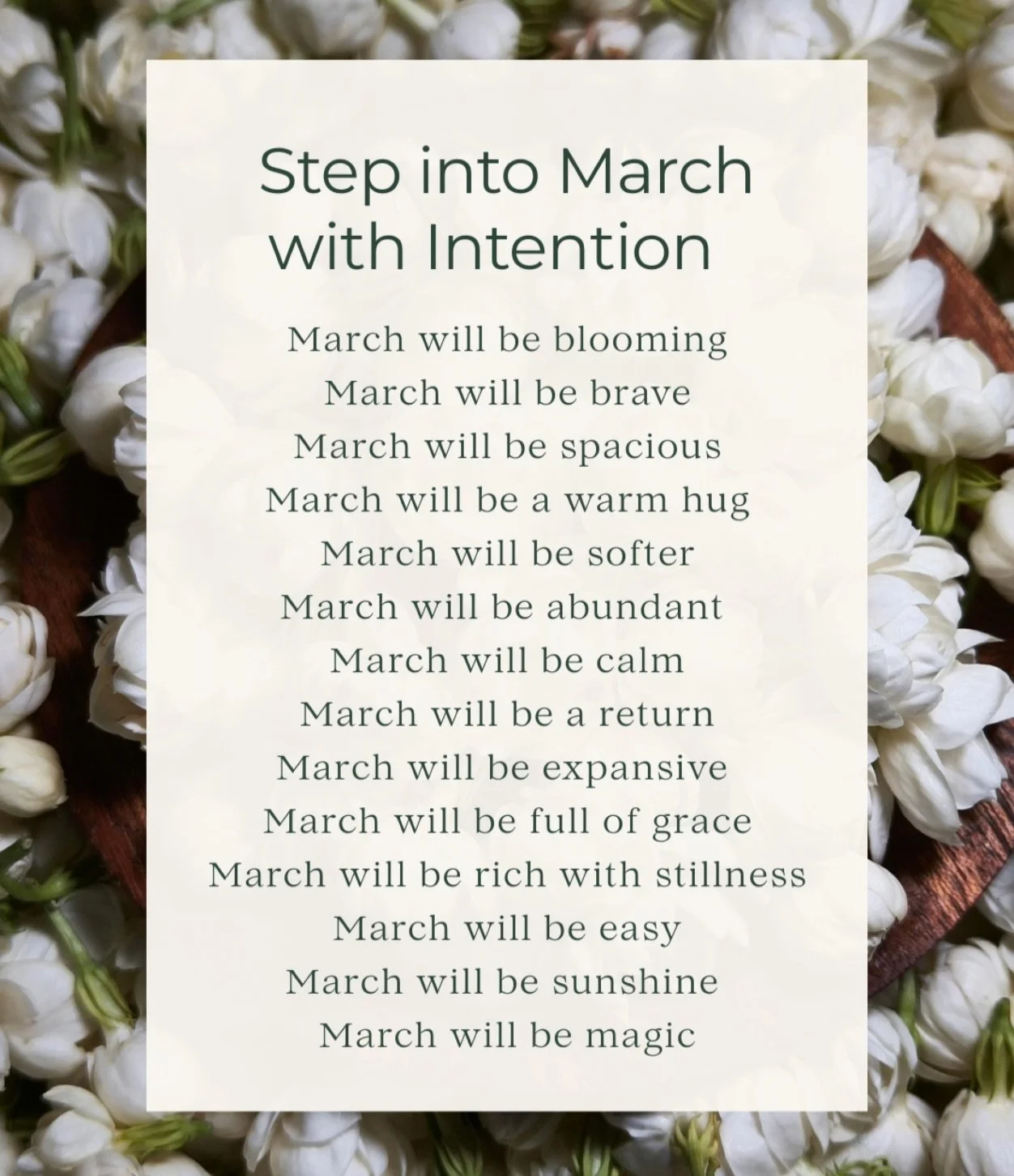 March will bring us spring! We&rsquo;re on our way to longer days, warmer air, and blooming color. 🌼 

Claim your March. 
Claim the growth, claim the sunshine, claim the rebirth.

Which of these intentions are you claiming? 

#marchintention #spring