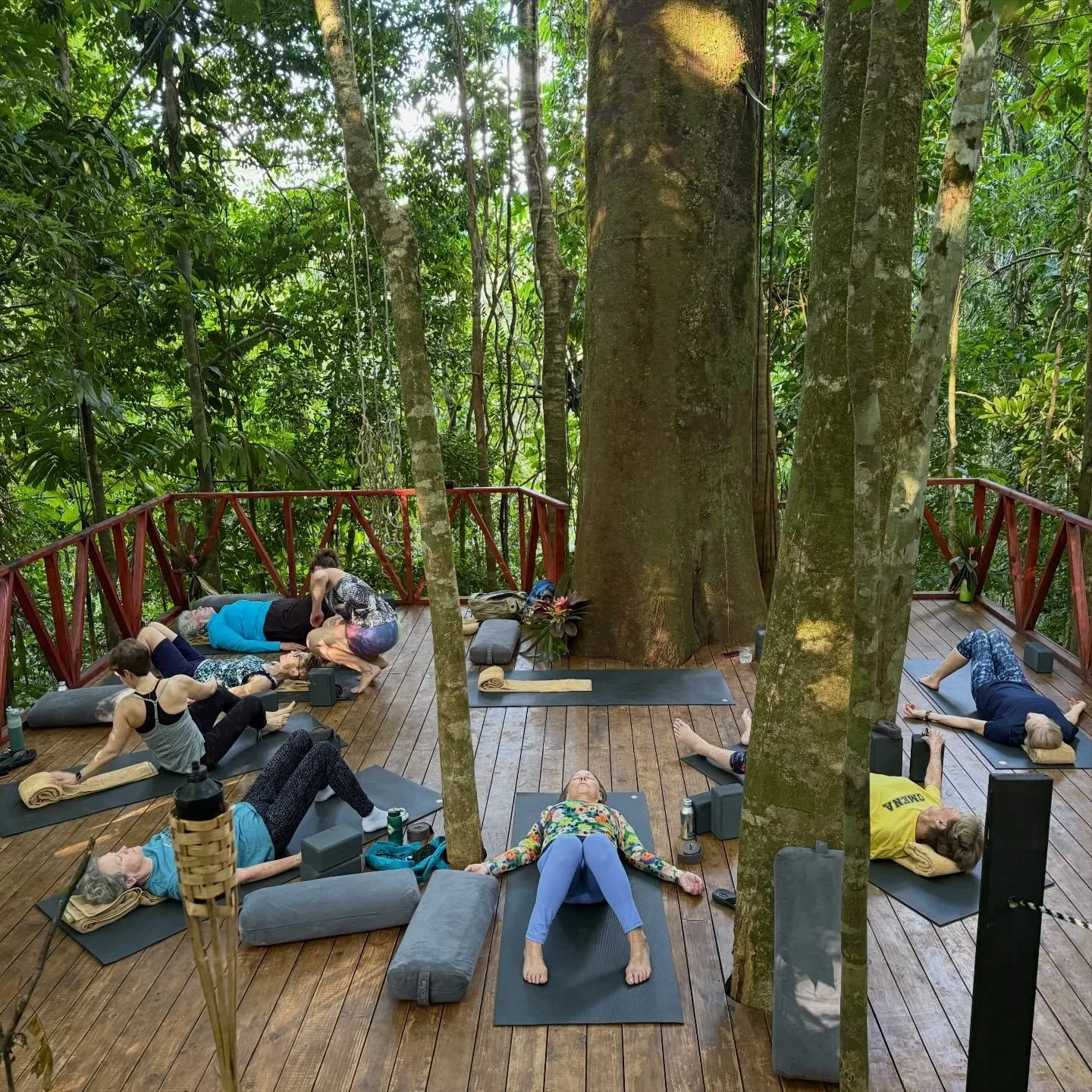 In just 8 weeks, we&rsquo;ll gather on the Osa Peninsula in Costa Rica where the rainforest meets the sea.

A small group of women coming together for a week of reflection, connection, and shared wisdom. 

This experience is shaped by the people who 