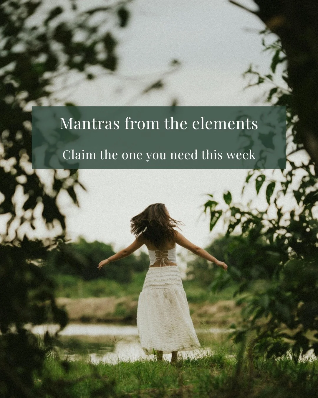At Moonwake, our retreats and experiences are guided by the wisdom of nature&rsquo;s elements: Water, Air, Fire, Earth, and Stardust. 

Swipe through to bring some of that inspiration into your week. Which mantra are you claiming? 

#natureheals #nat