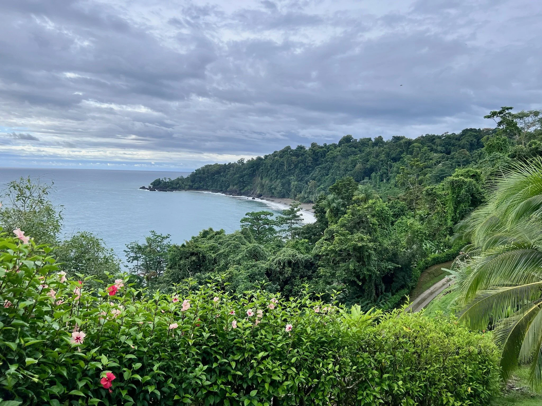 Why Your Health Needs Nature