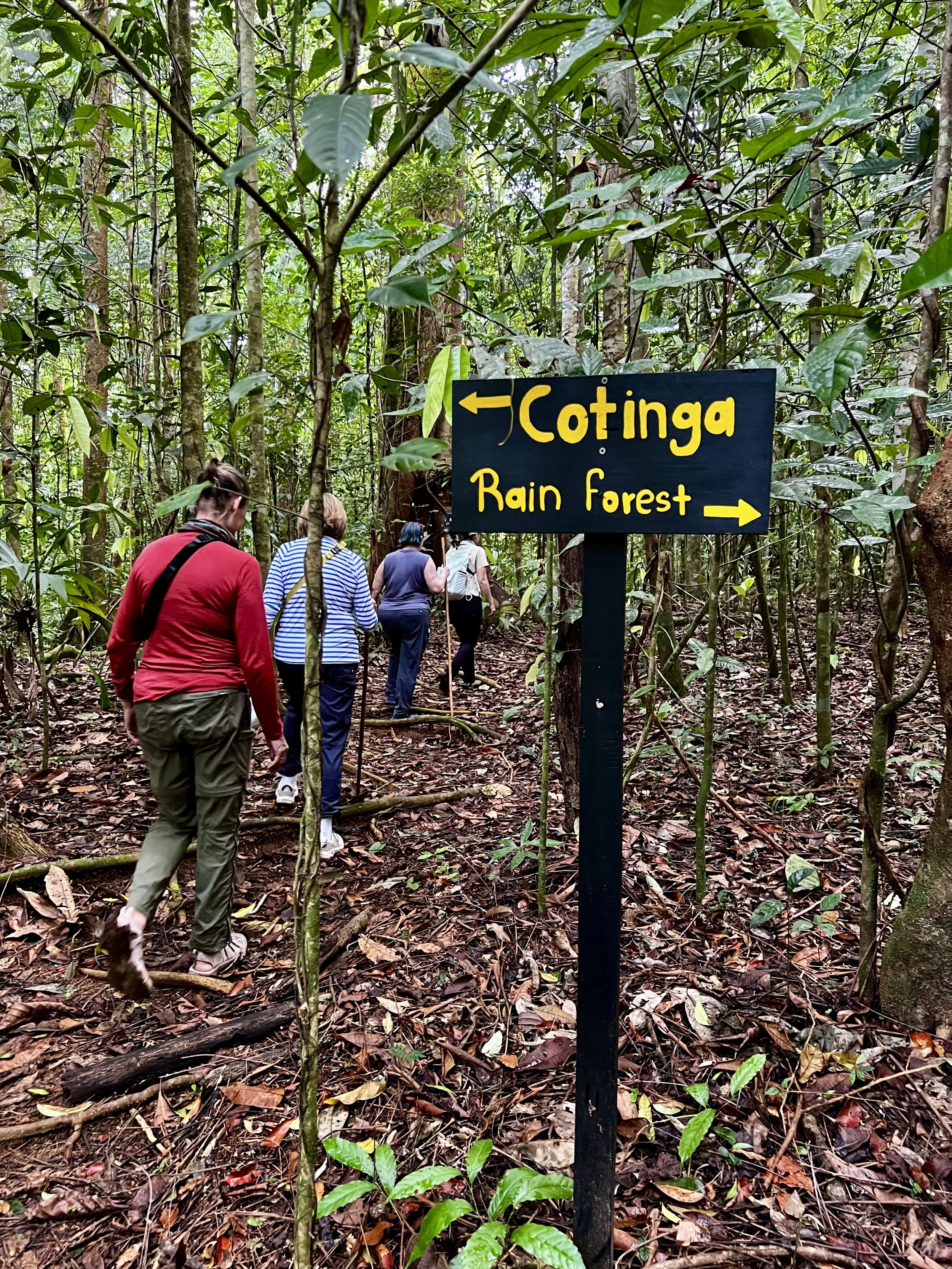 Group of people walking along a rainforest trail with a sign pointing towards the rainforest in a lush green jungle setting near Corcovado National Park.