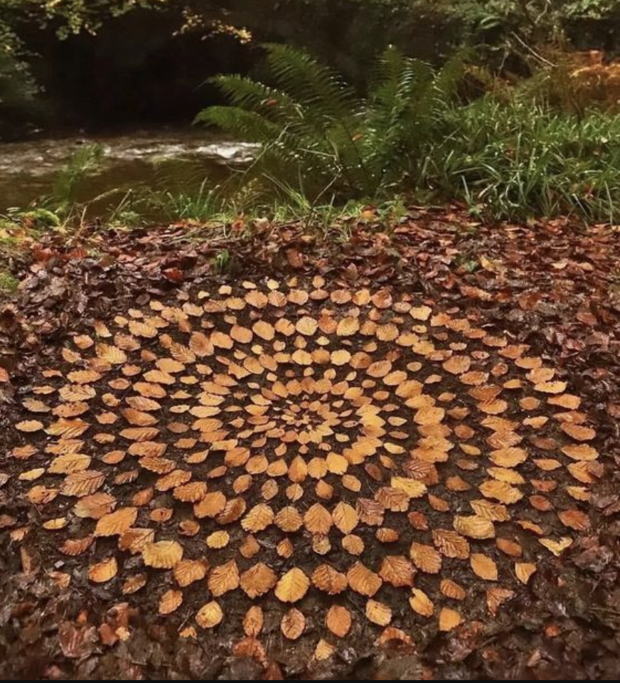 Autumn Breathwork & Sound Journey