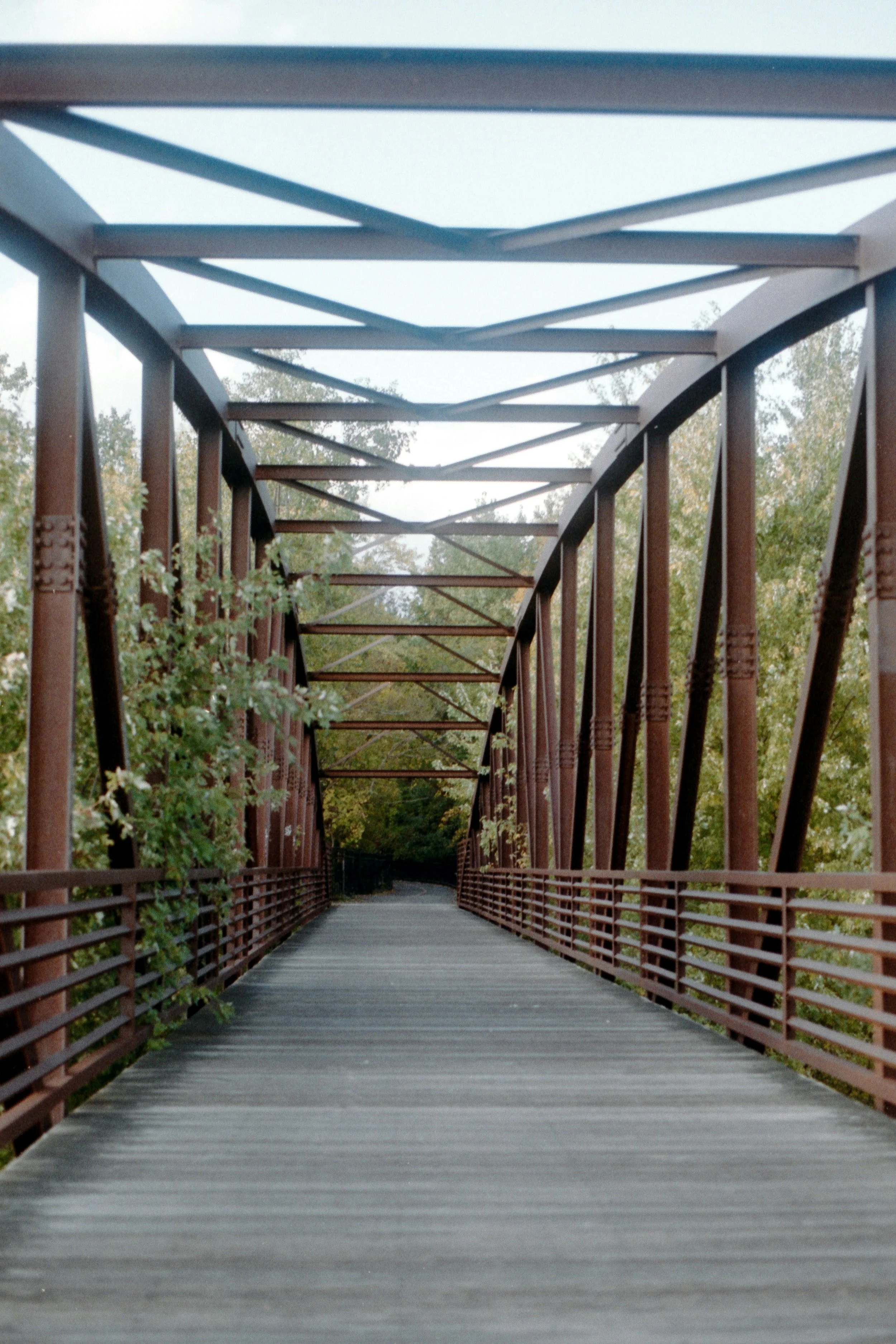 Steel pedestrian bridge with wooden walkway and rust-colored railings, surrounded by green trees and foliage.