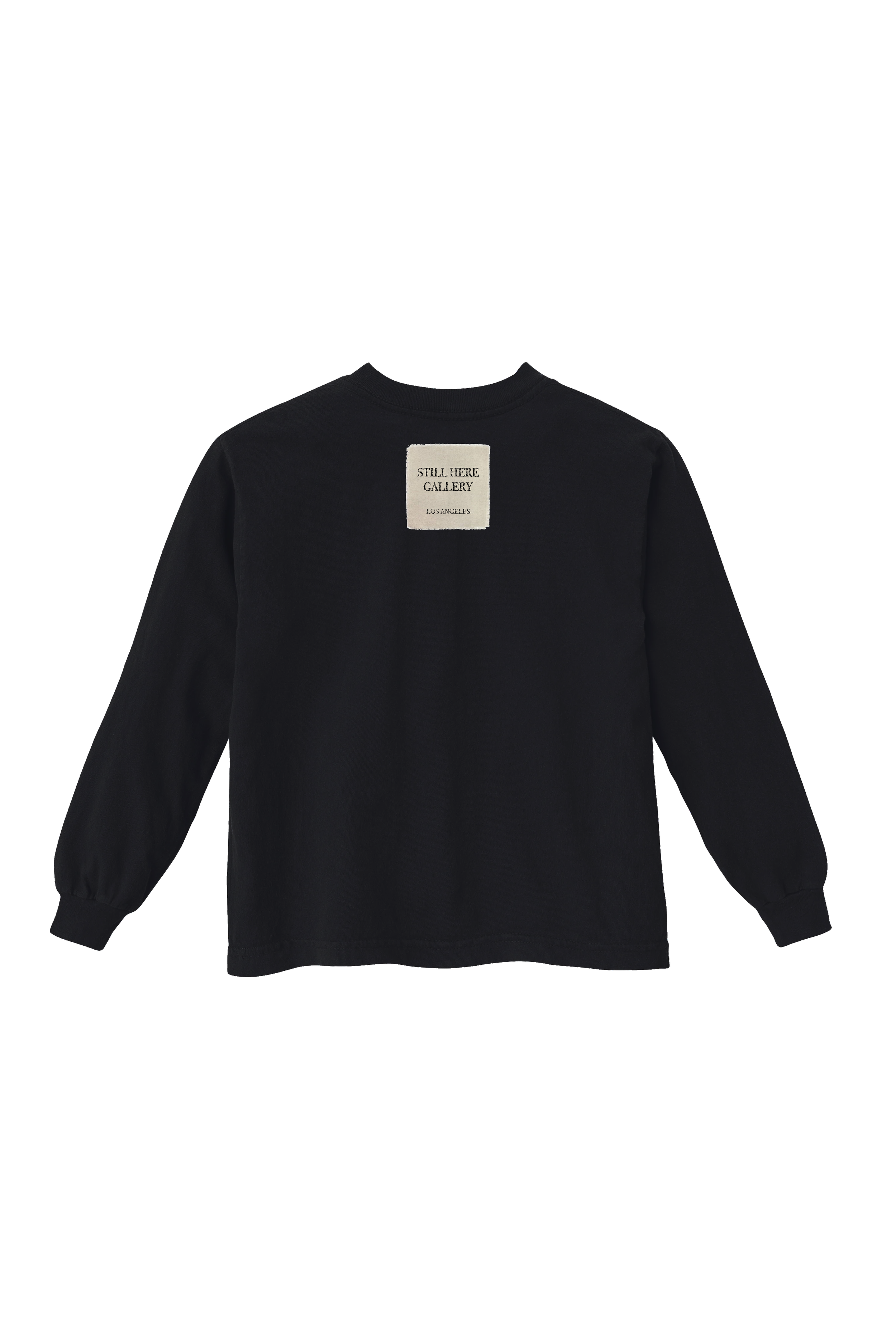 toujoursback mockup.PNG