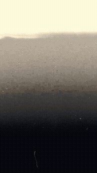 Sequence 32_POSH_COMMERCIAL_2 (1).gif