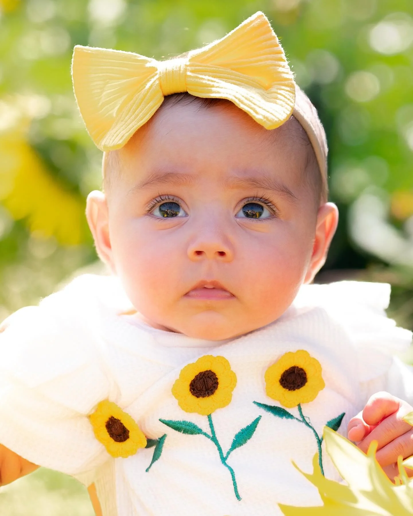 Sunflower field fun 💛