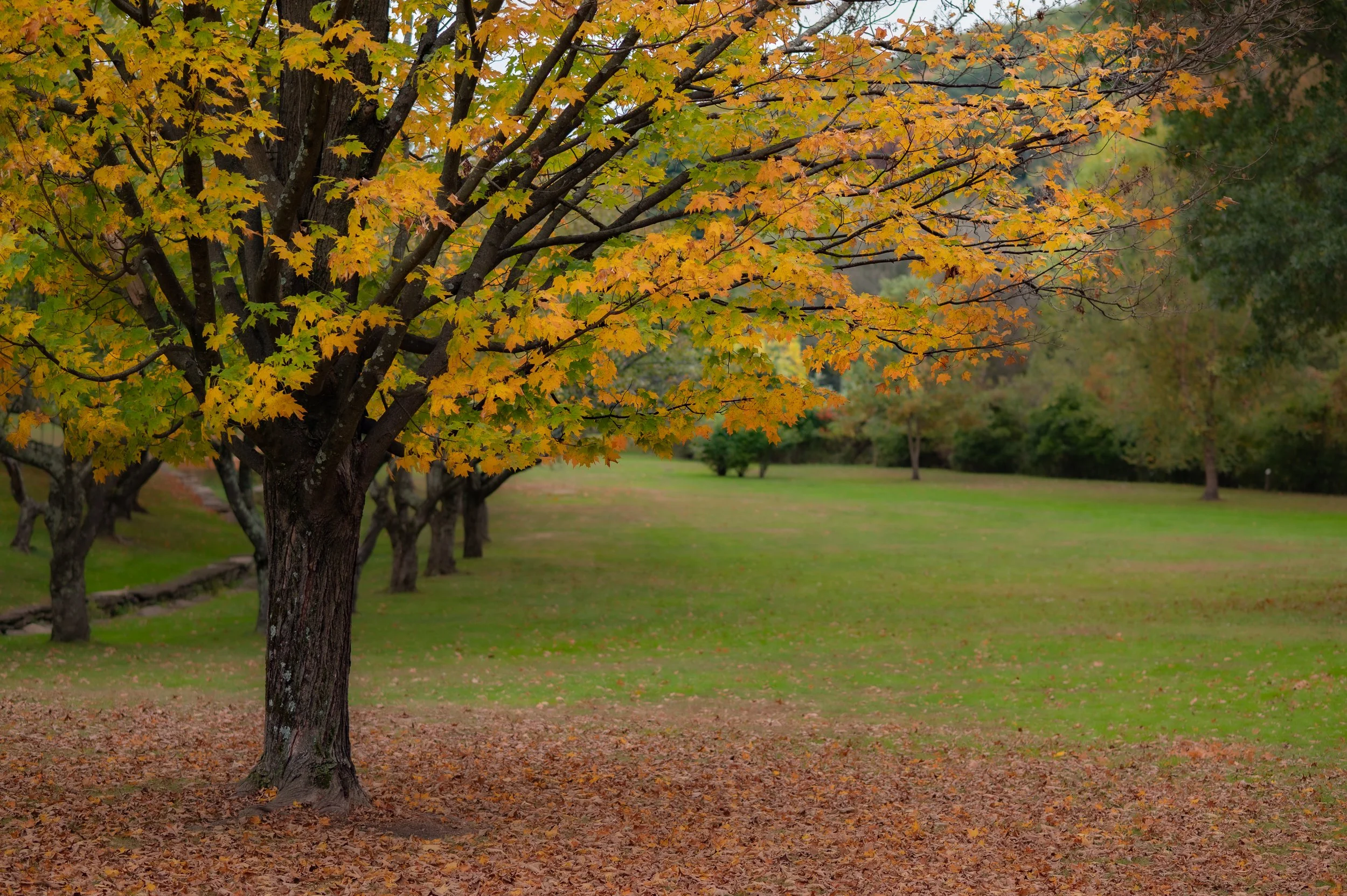 My Favorite Local Photography Spots