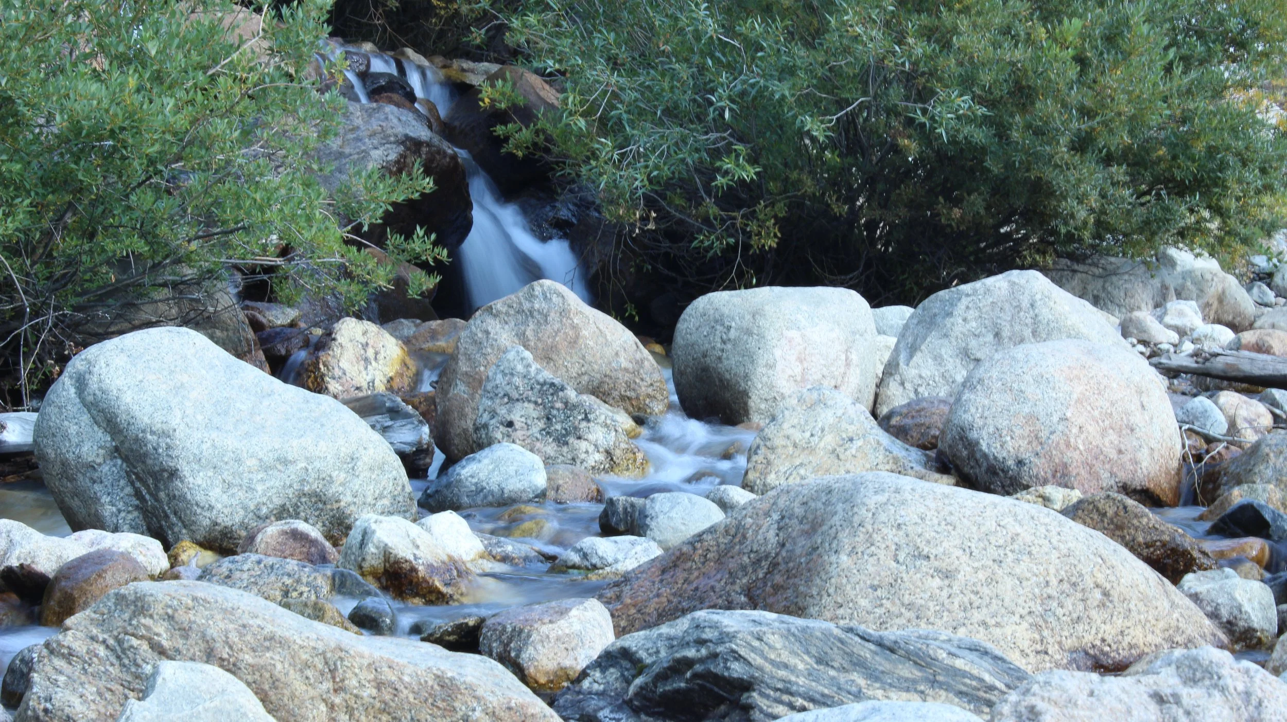 One of my personal favorites