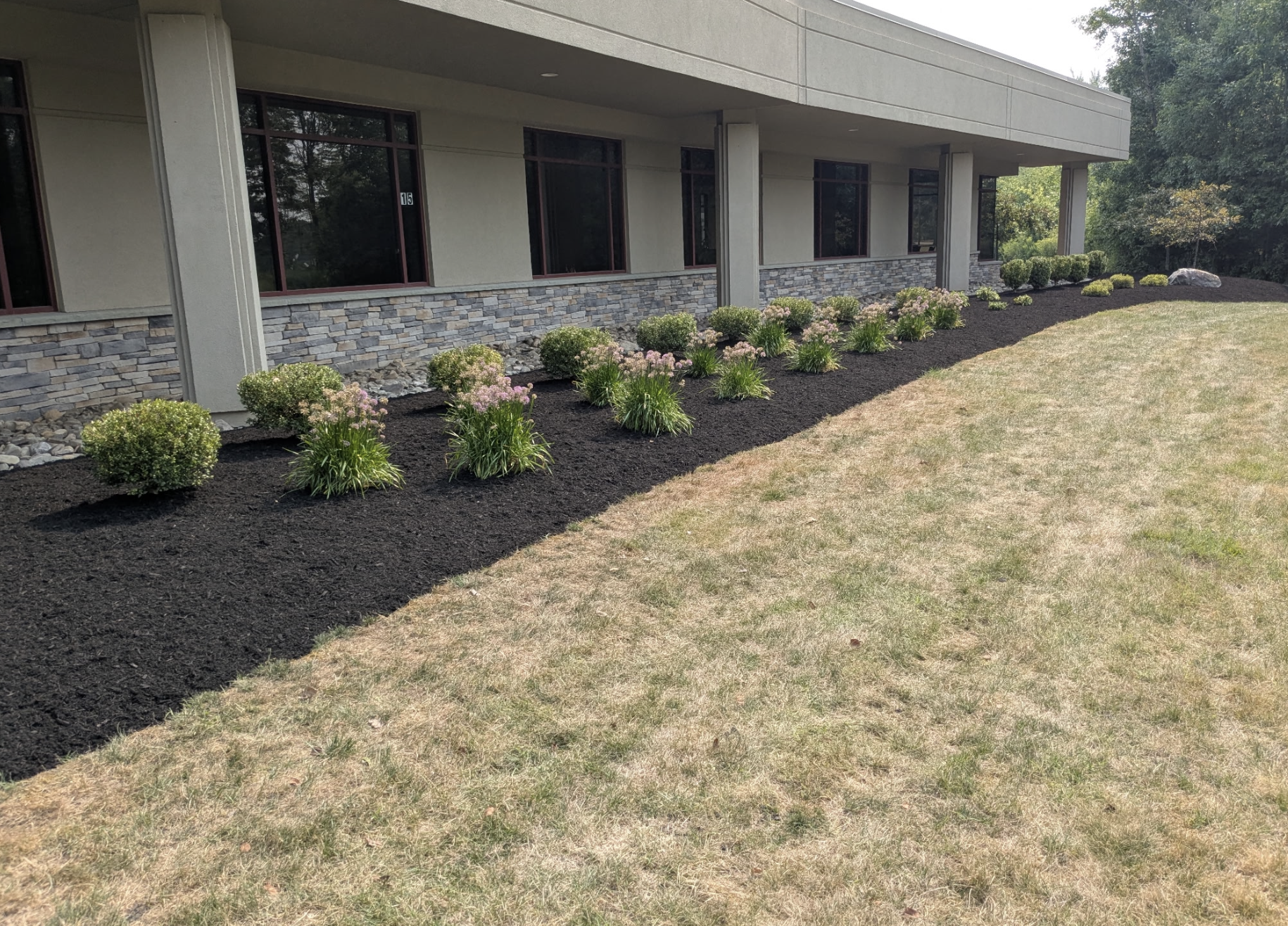 Exterior view of a building with a newly landscaped garden bed along the side, featuring mulch, small green bushes, and flowering plants, with a grassy area in the foreground.
