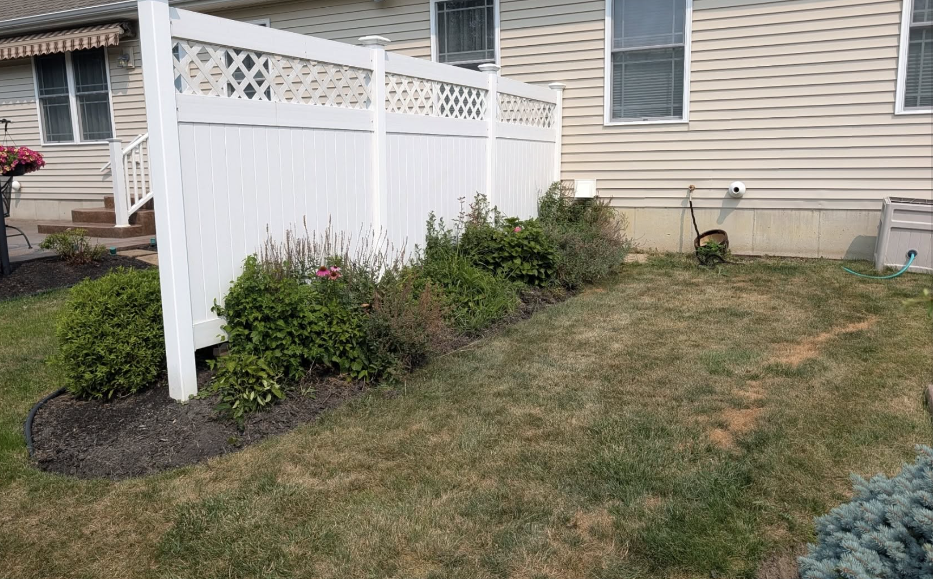 Before photo of an overgrown residential landscape bed prior to cleanup and renovation in Grand Island, NY