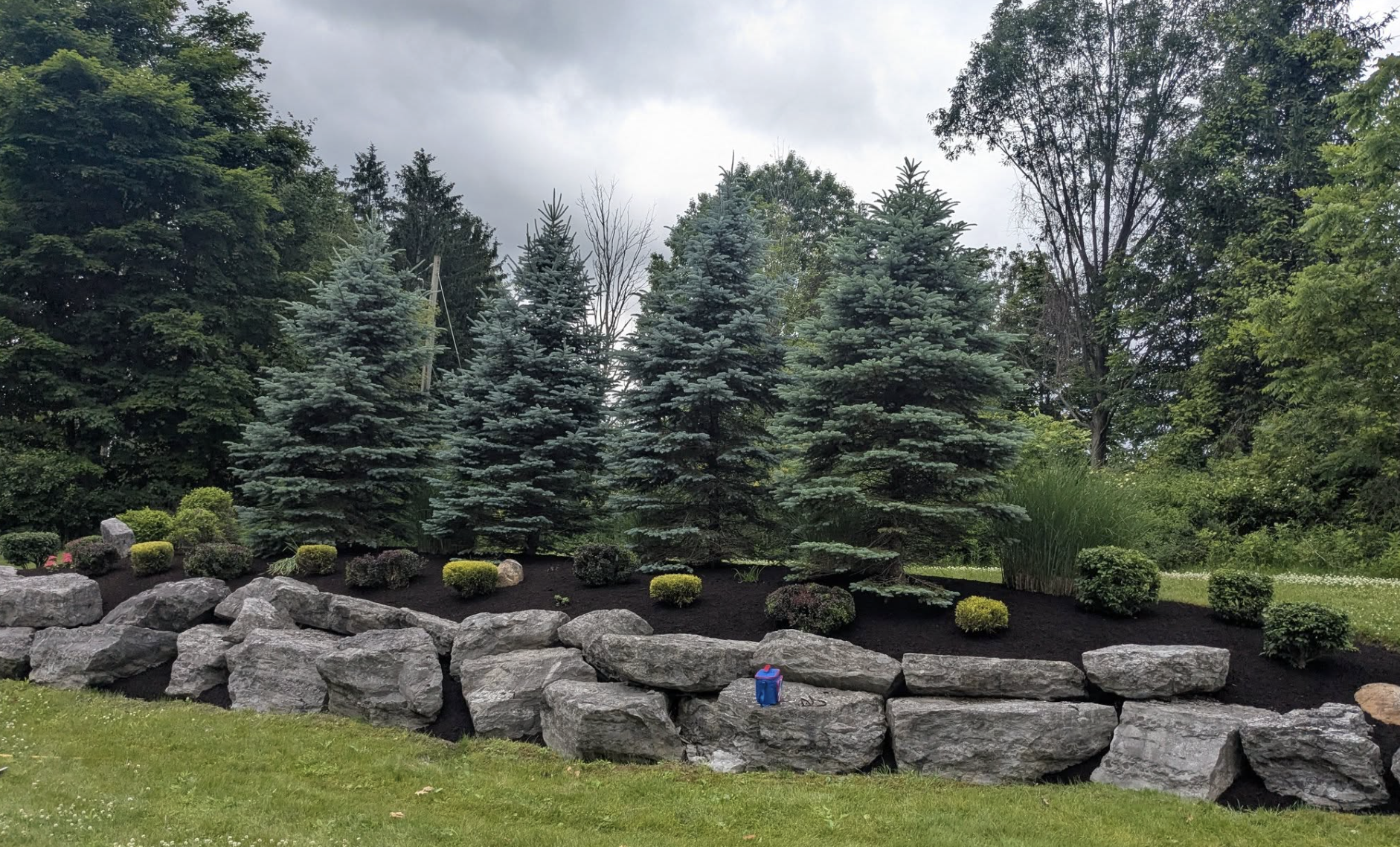 A landscaped garden with large grey rocks forming a border, evergreen trees in the background, small shrubs, and grass area in the foreground. Overcast sky above.