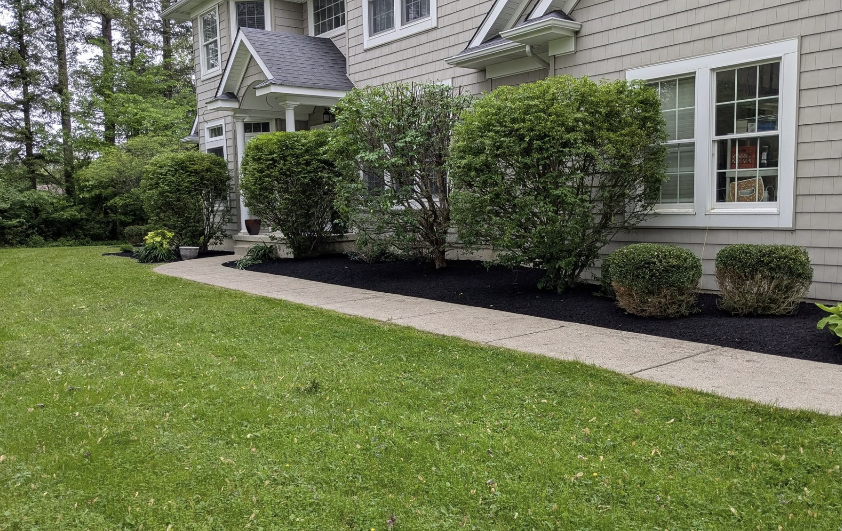 A well-maintained lawn with a concrete sidewalk in front of a house with beige siding, green bushes, and trees in the background.