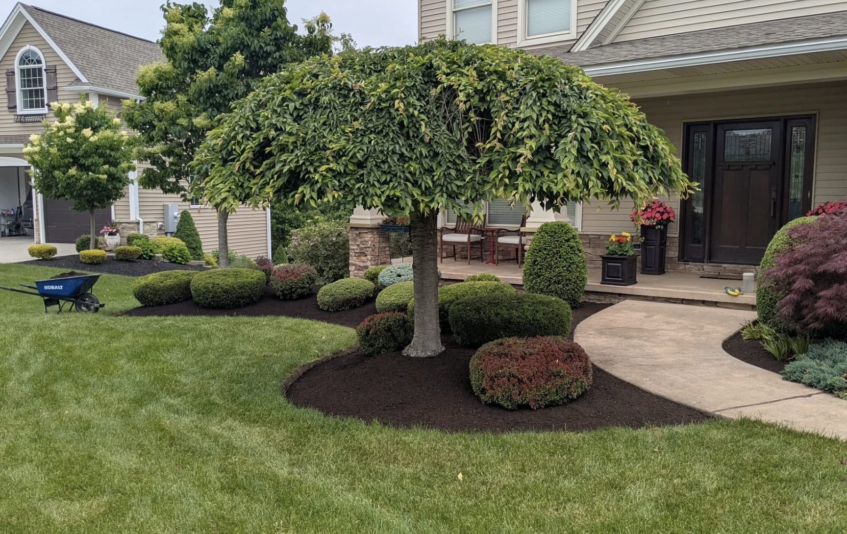Well-maintained front yard with a curved pathway leading to a porch, a large tree with lush foliage, trimmed bushes, ornamental plants, and a wheelbarrow on the grass.
