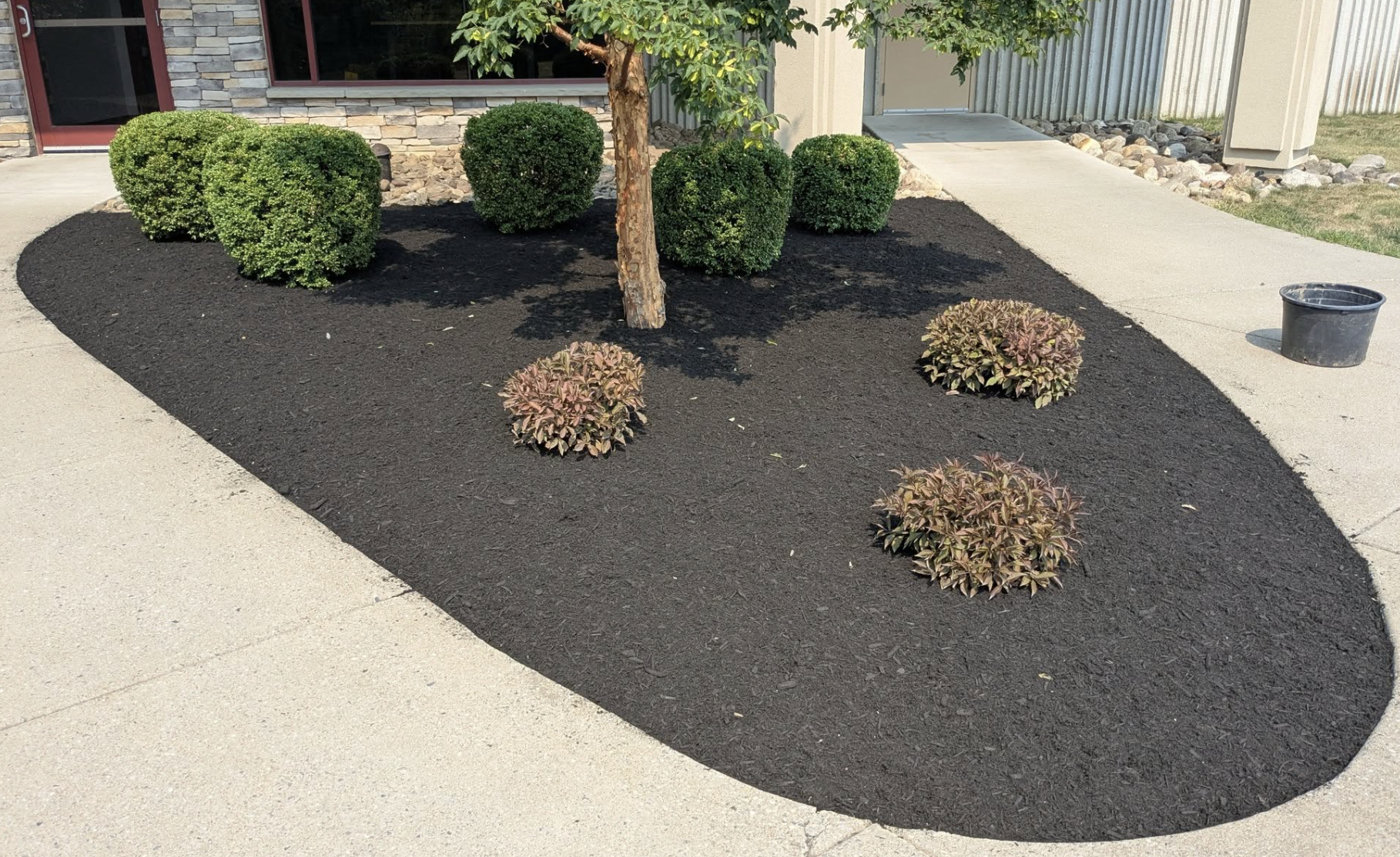 Landscaped area with a tree and green bushes surrounded by dark mulch, bordered by a concrete sidewalk near a building with stone and siding exterior.