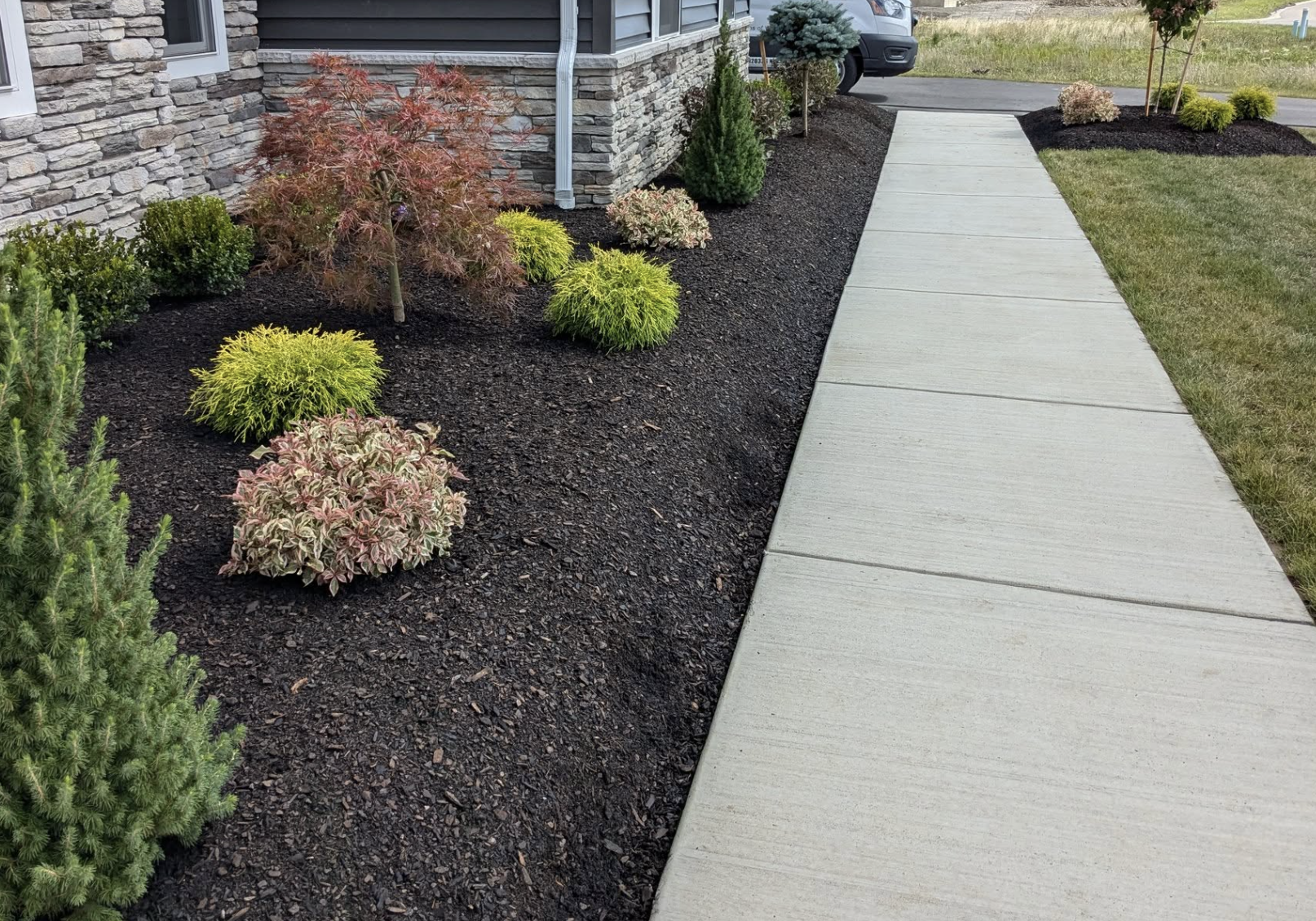 Landscape design and installation with shrubs, walkway, and stone house exterior in Hamburg, New York.