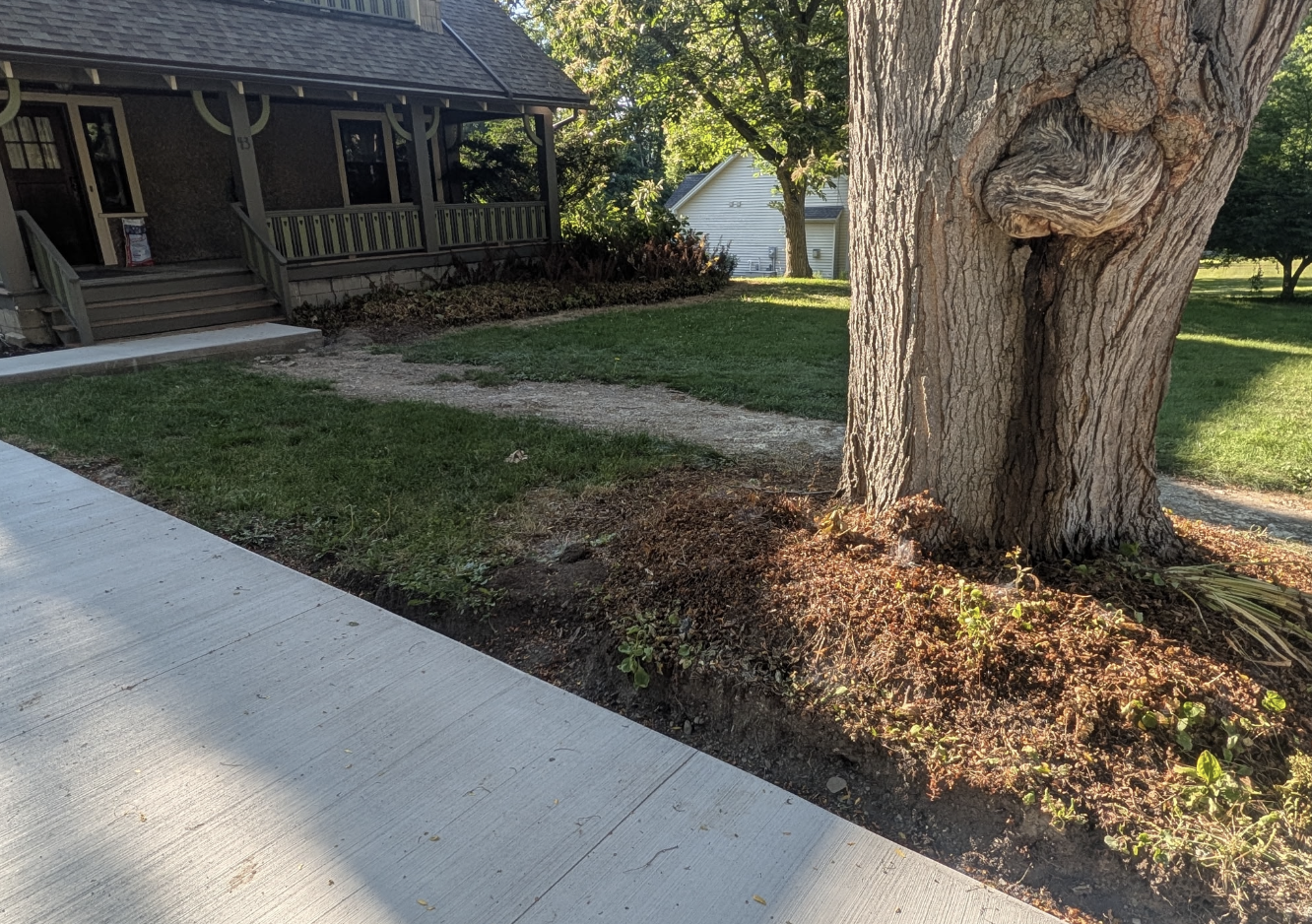 Lawn grading and landscape renovation around mature tree and front yard in West Seneca NY