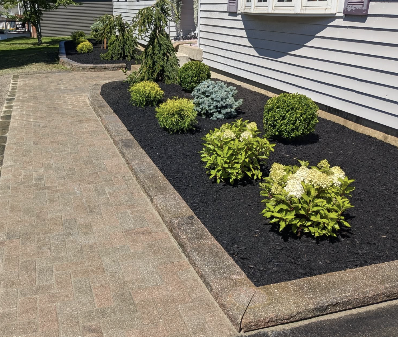 A landscaped garden bed with various shrubs next to a brick sidewalk and a house with siding.