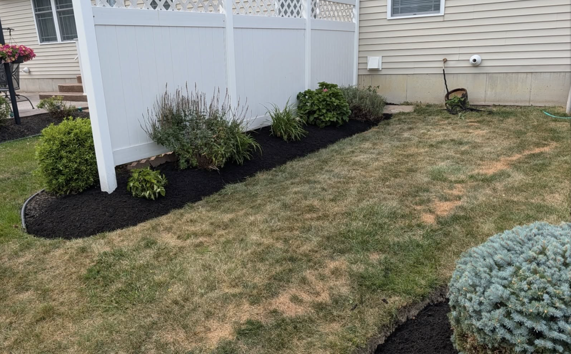 Fresh black mulch and new plantings along a residential foundation and privacy fence in Grand Island, NY