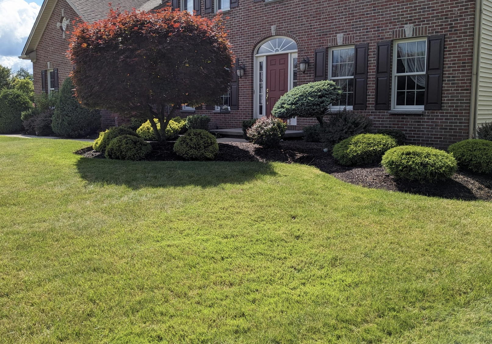 Sod installation and lawn improvement services for a residential property in Lancaster, New York.