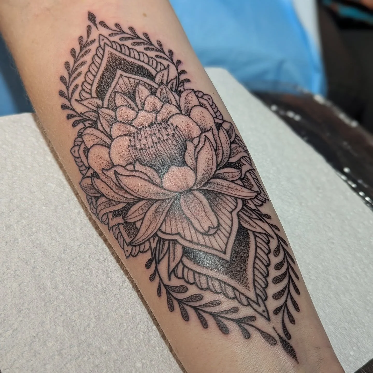 Cactus flower with ornamental for Caley, thank you for travelling and sitting so well.

#chrisjonestattooer #moodybluetattooroom #geelongtattoo #geelong #geelongtattooartist #ornamentaltattoo #cactusflower #dotworktattoo #geometrictattoo