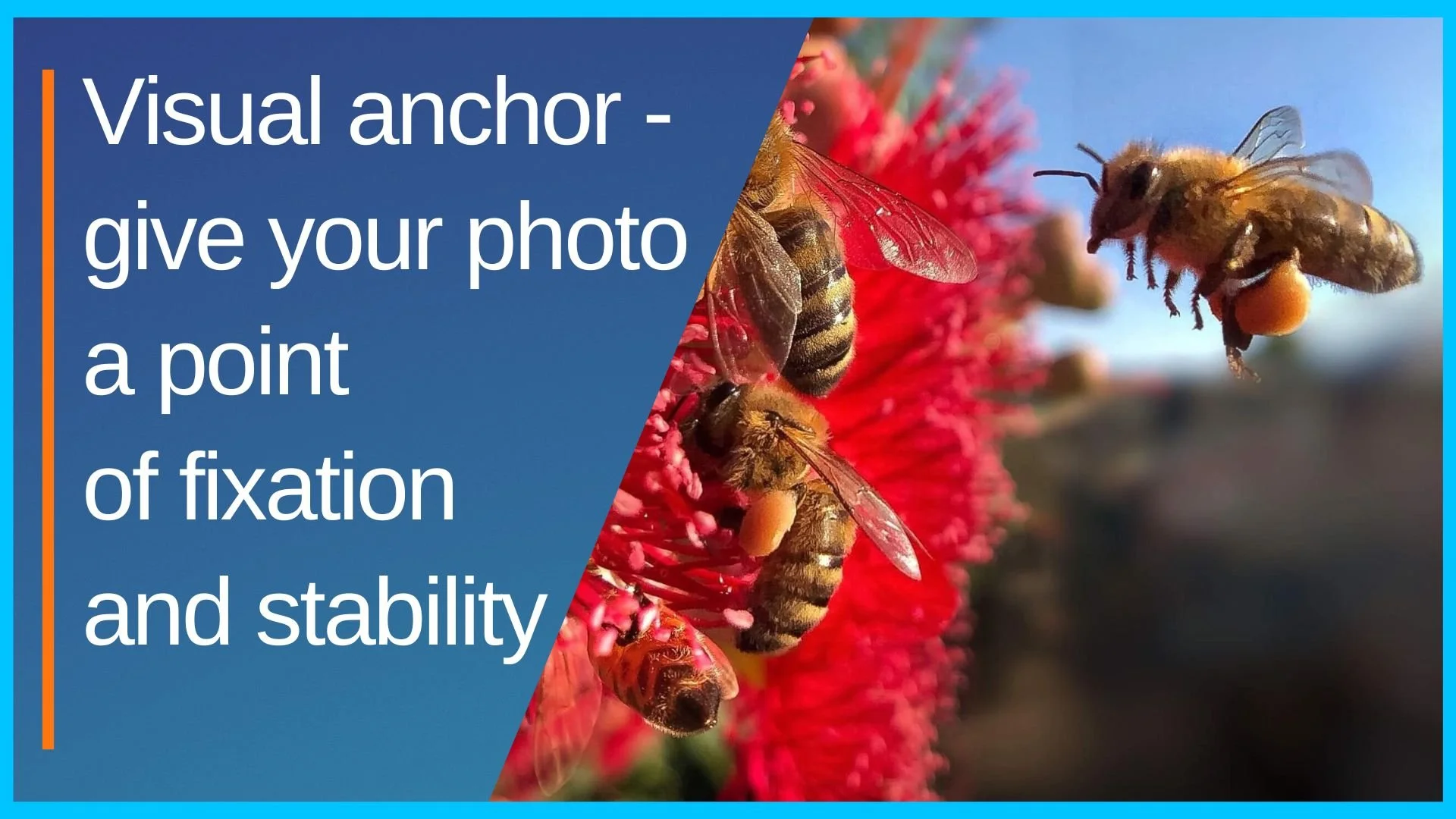Visual anchor -give your photo a point of fixation and stability
