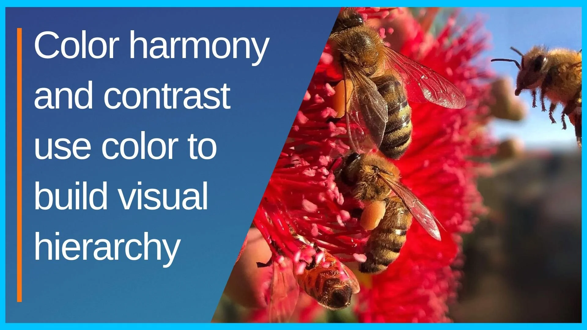 Color harmony and contrast  use color to build visual hierarchy