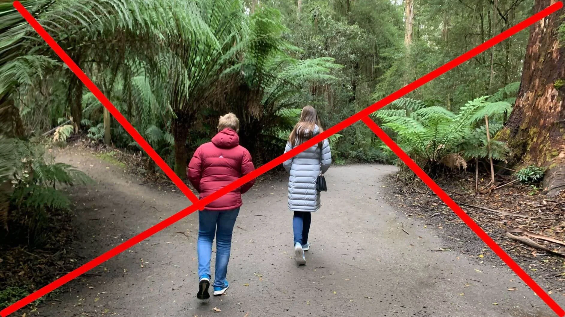 golden triangle in composition