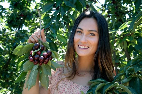 Cherry3.jpg