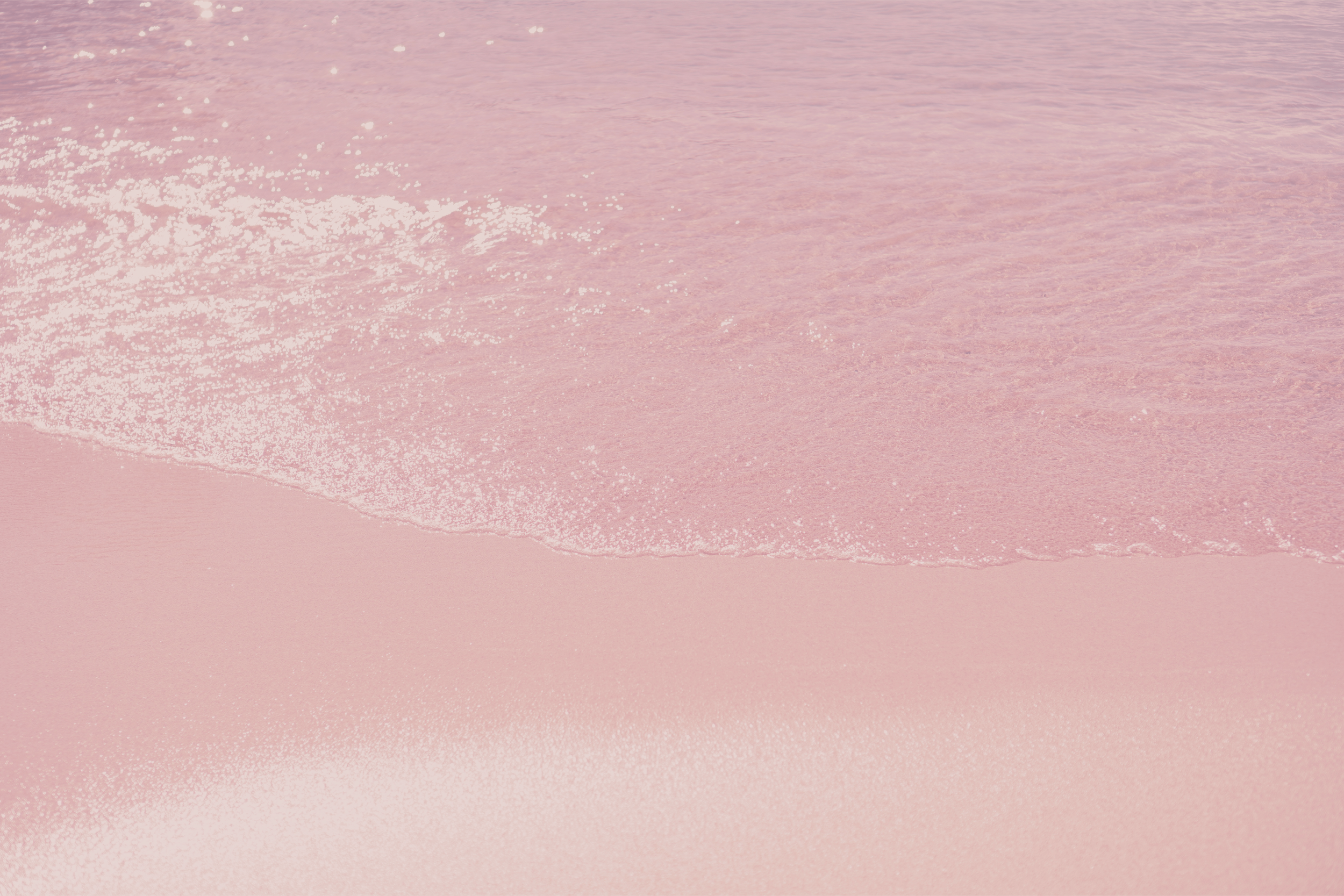 2026: A Year of Hope