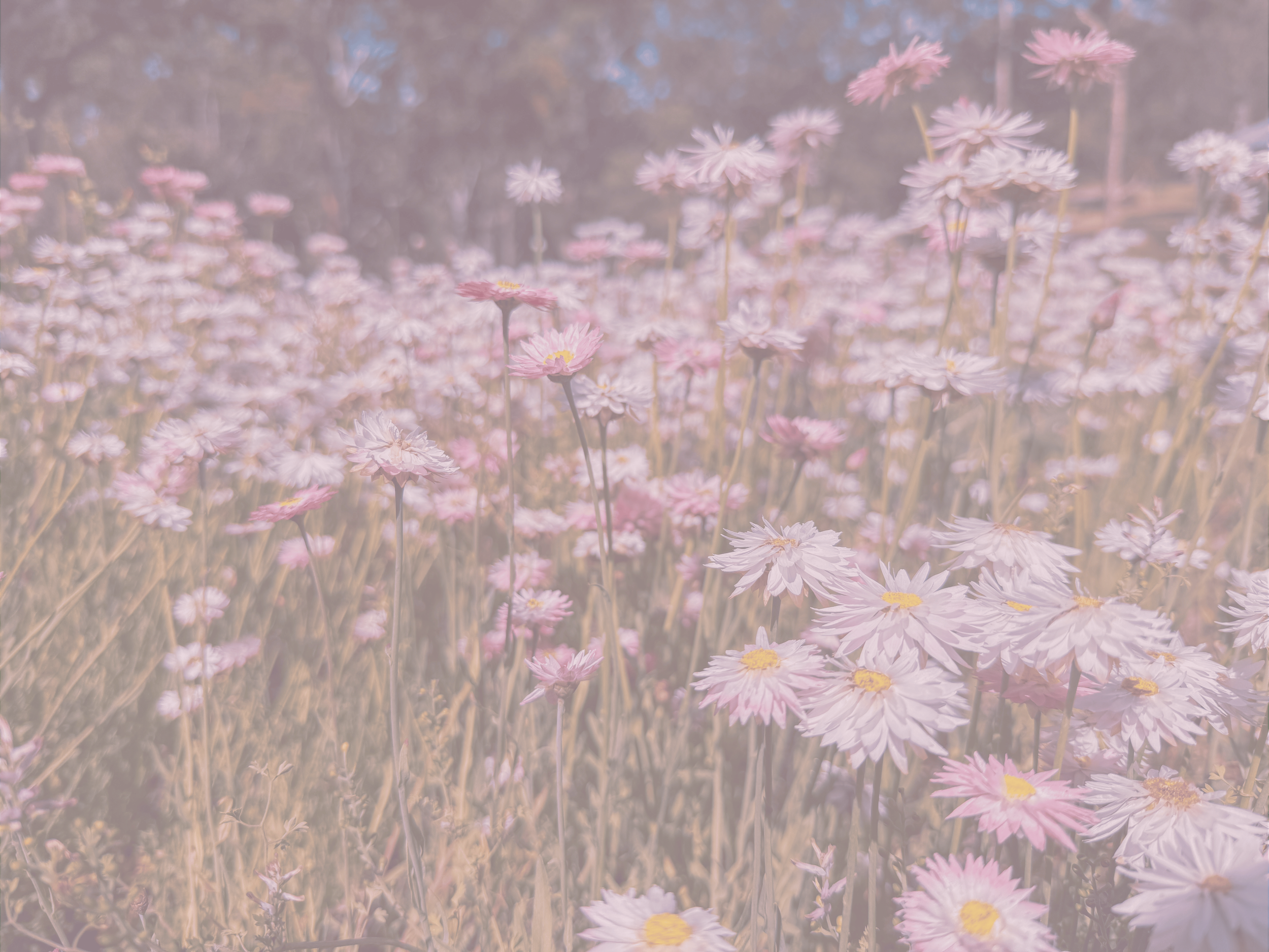 The Parts of Me That No One Sees