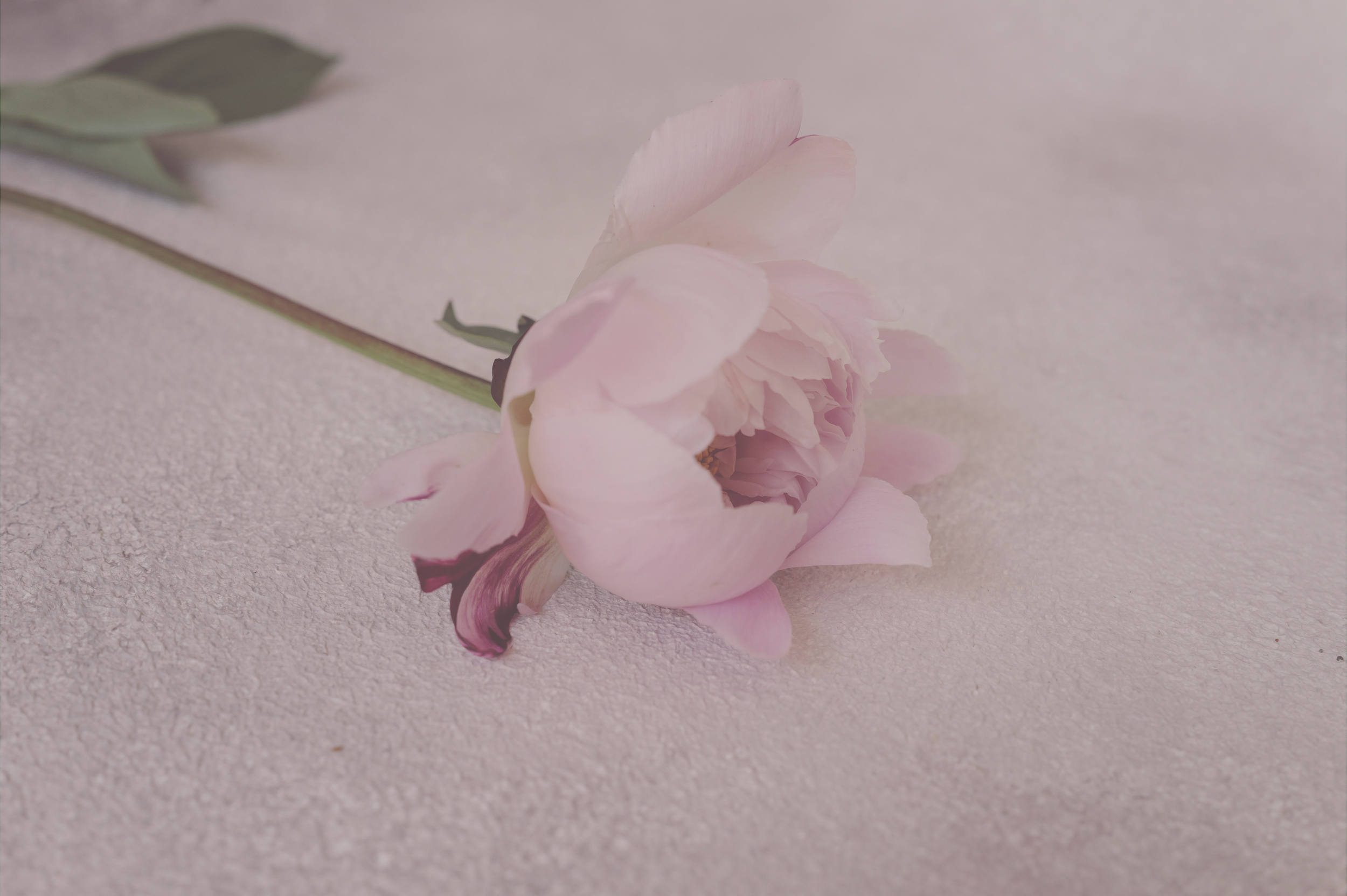 I was tired of the inner work… until I found The Emotion Code