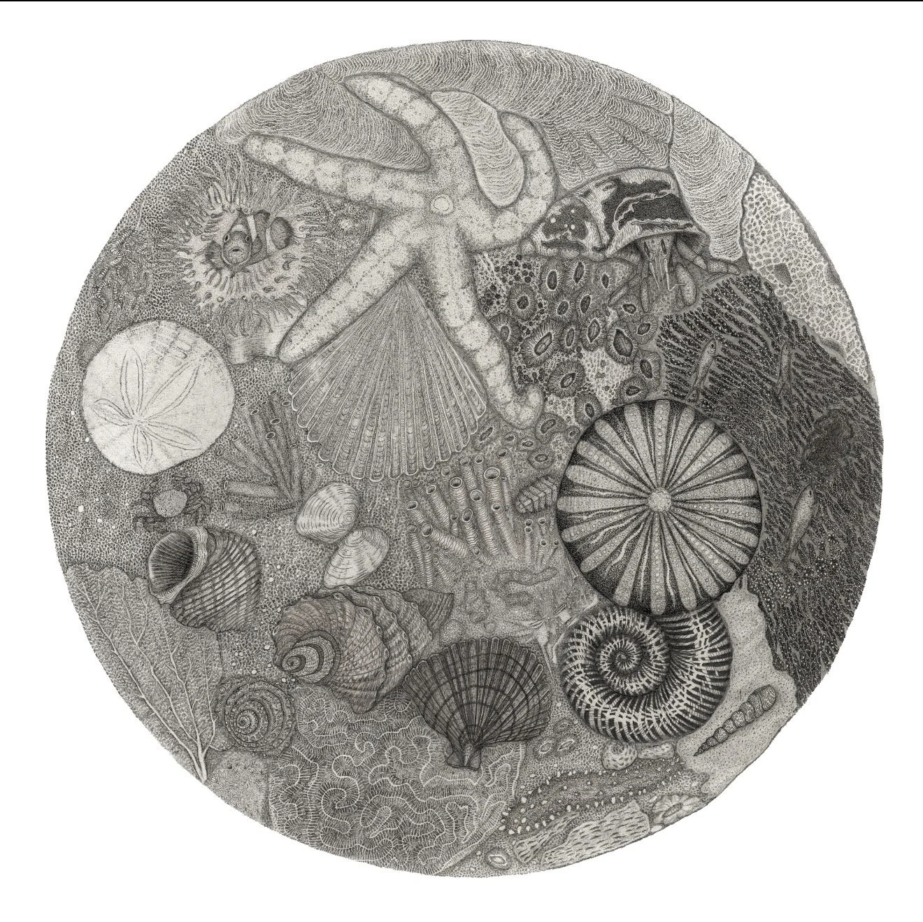 Lunar Syzygy