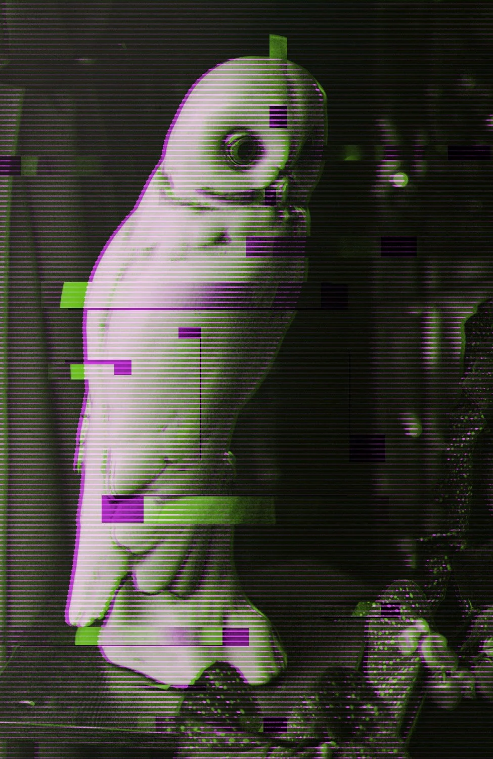 Glitchowl-2025.jpg