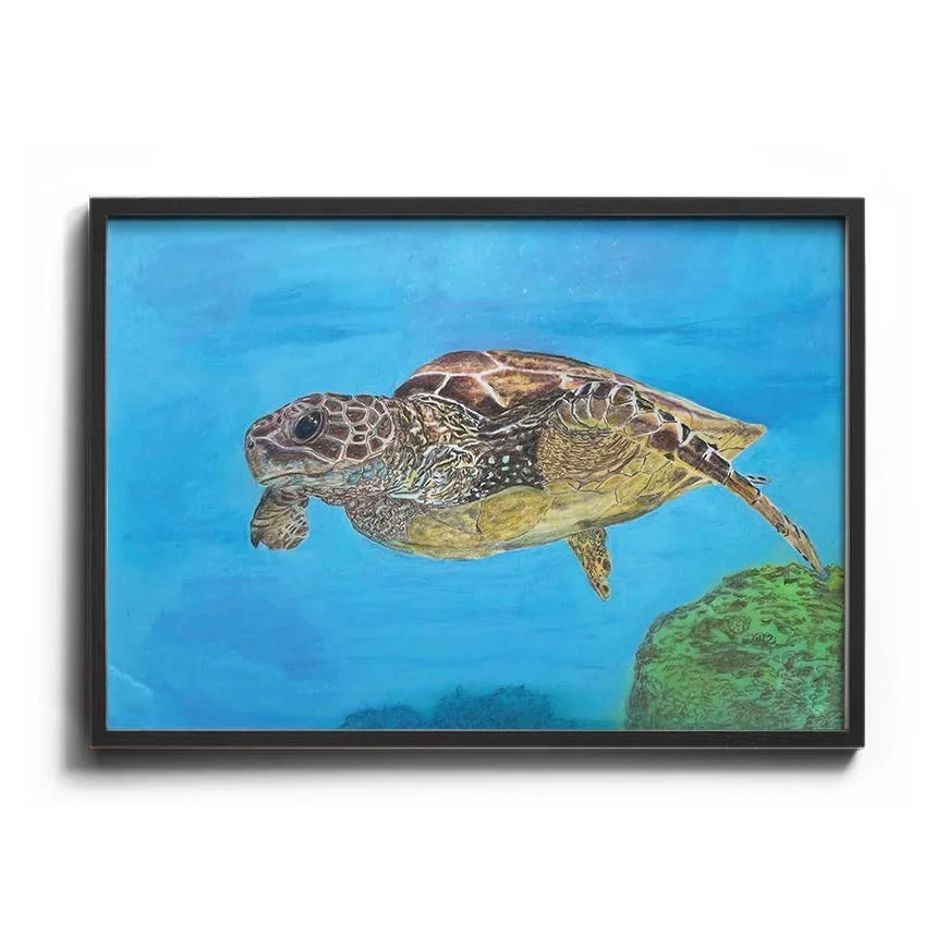 Tranquil Sea Turtle Art - Color Pencil Drawing