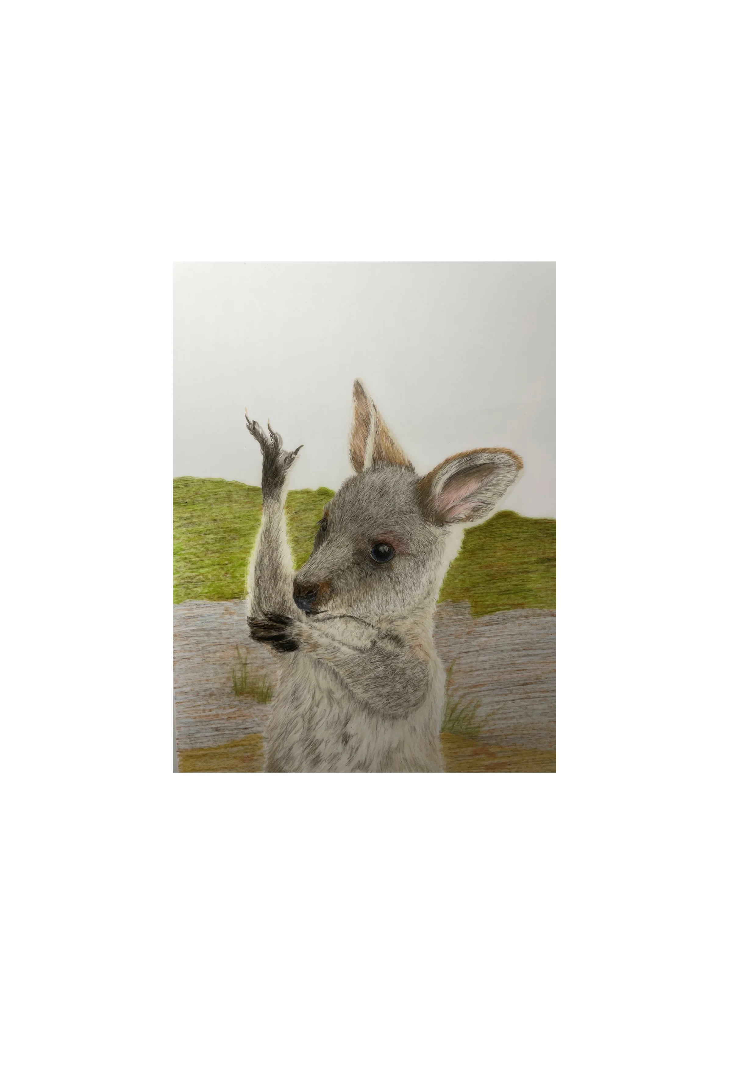 Joey Resized for website.jpg