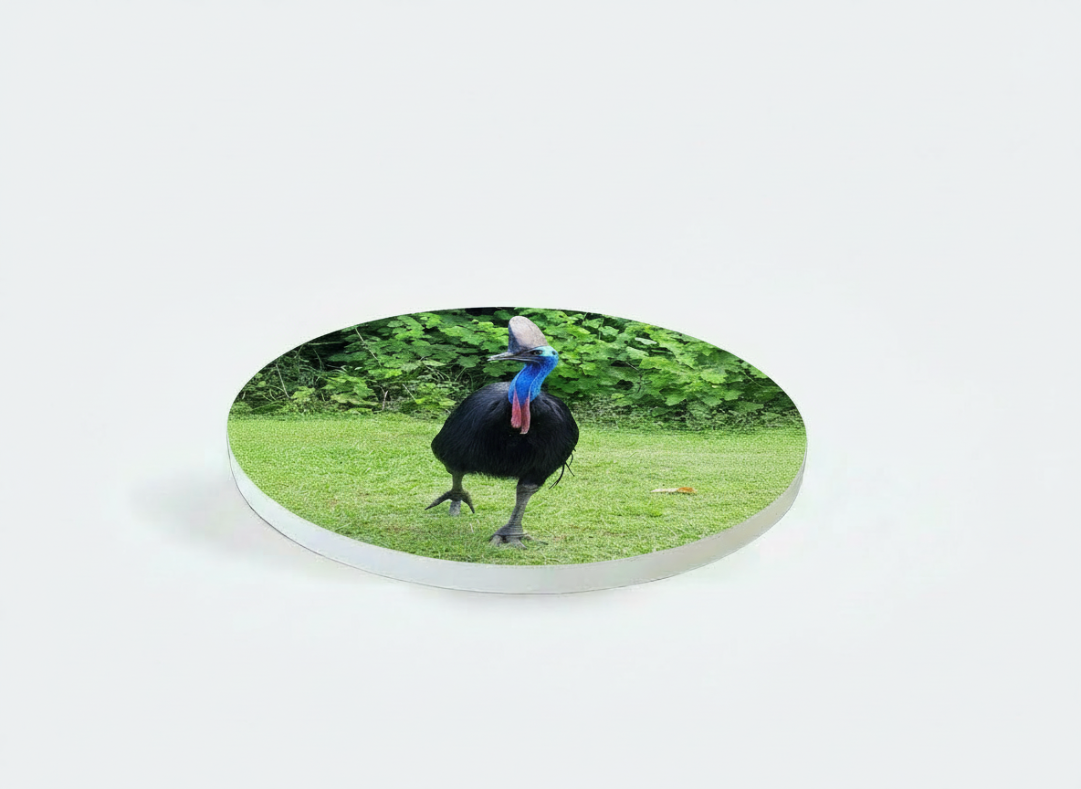 Cassowary Elegance Sandstone Coaster